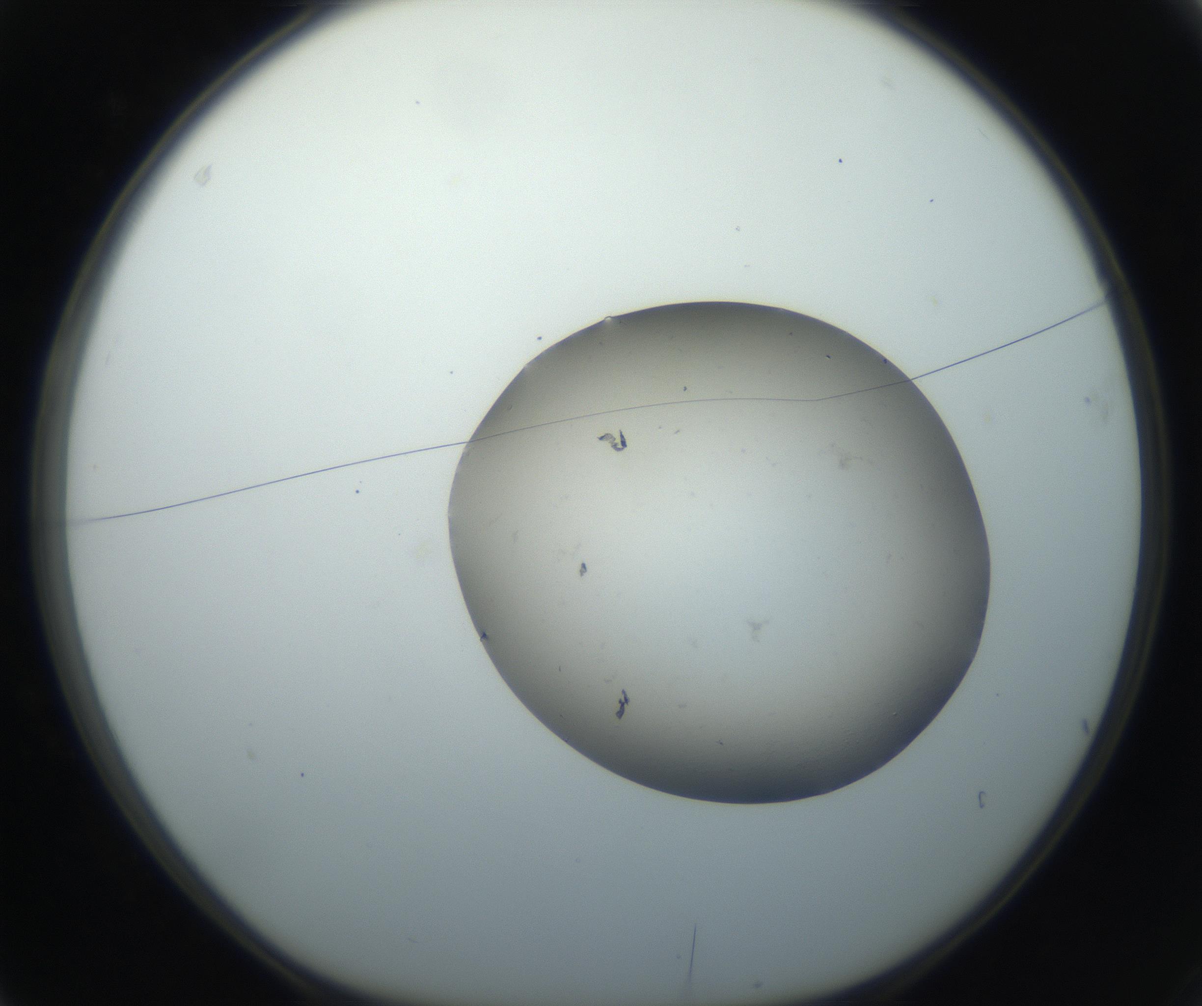 RI01_03_000_0212_Proj1_Clon1_MC_0000MC102735_003_160921_03_01_01_00_99_002_001_RAI.jpg