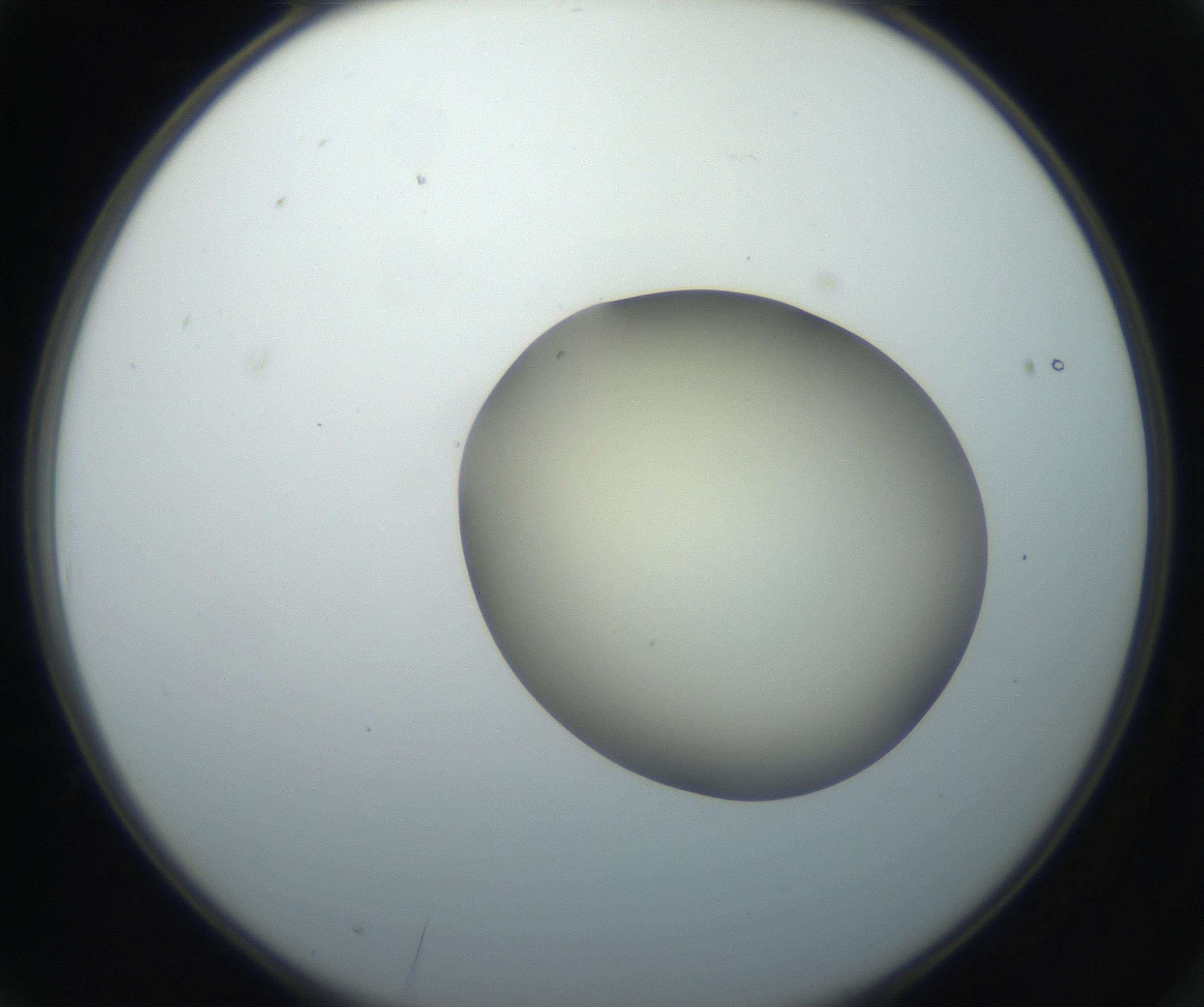 RI01_03_000_0212_Proj1_Clon1_MC_0000MC102735_003_160921_03_01_02_00_99_002_001_RAI.jpg