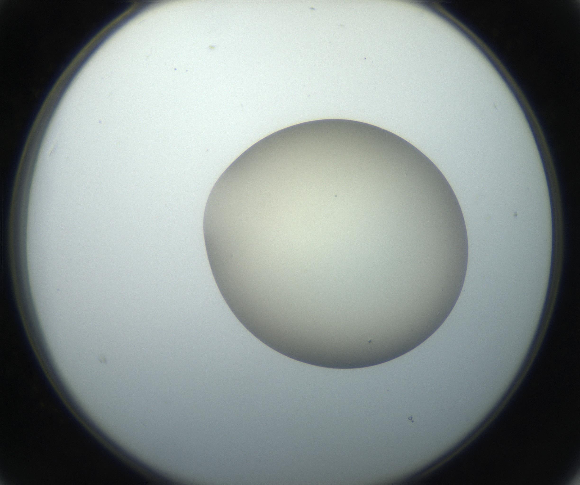 RI01_03_000_0212_Proj1_Clon1_MC_0000MC102735_003_160921_03_02_02_00_99_002_001_RAI.jpg
