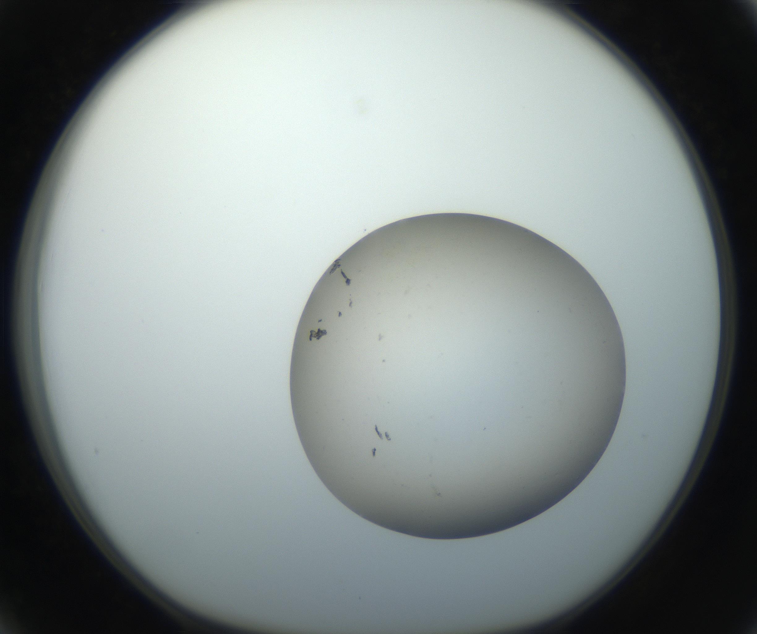 RI01_03_000_0212_Proj1_Clon1_MC_0000MC102735_003_160921_03_03_01_00_99_002_001_RAI.jpg