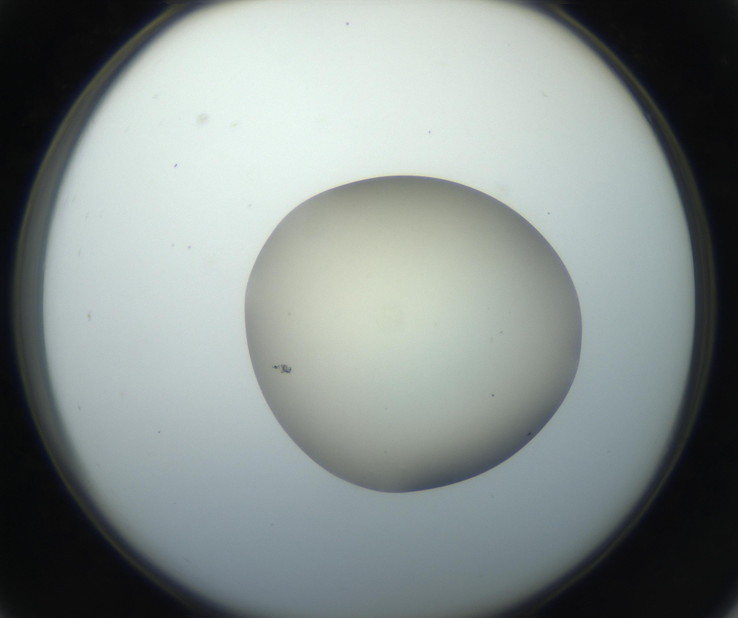RI01_03_000_0212_Proj1_Clon1_MC_0000MC102735_003_160921_03_03_02_00_99_002_001_RAI.jpg