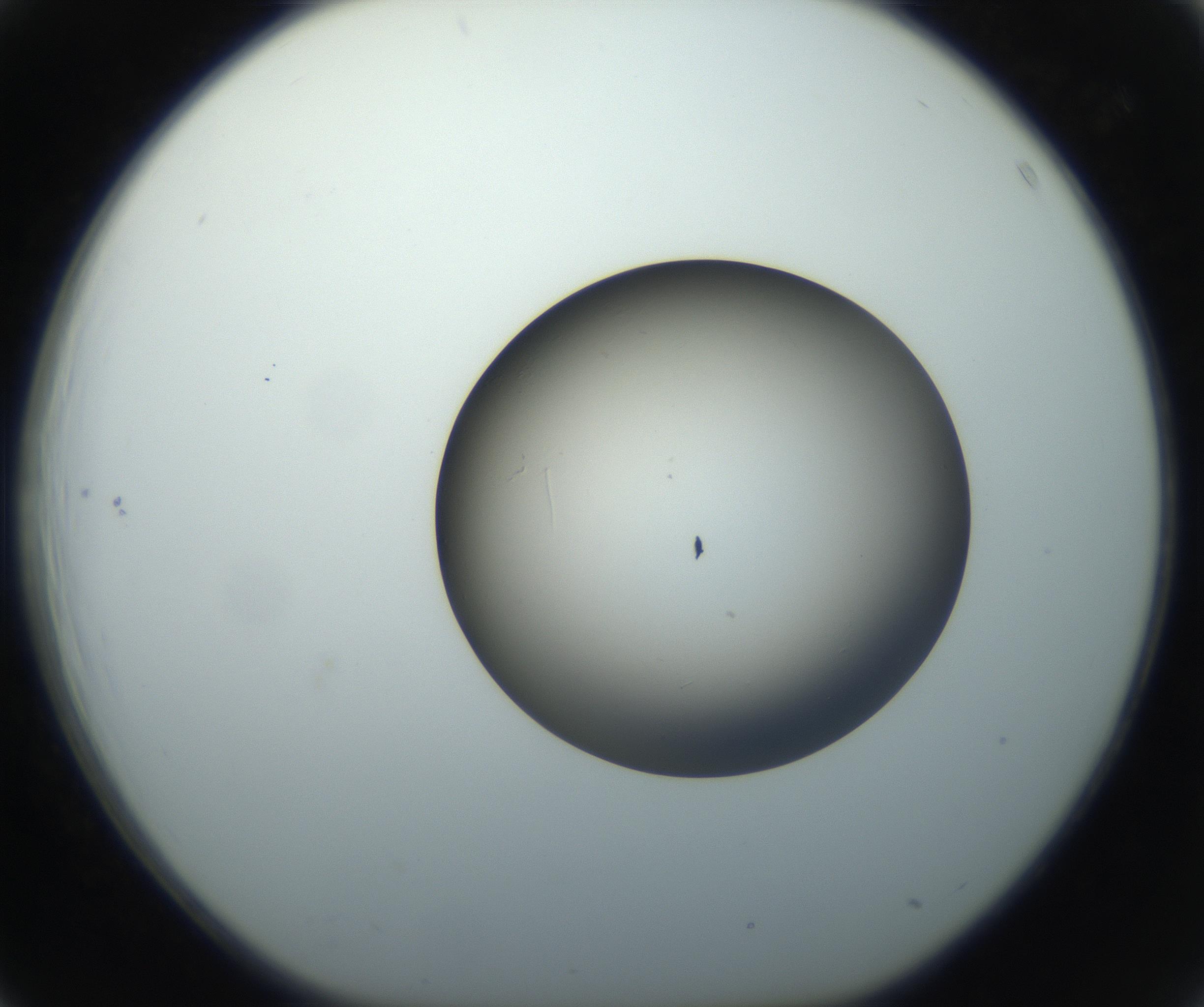 RI01_03_000_0212_Proj1_Clon1_MC_0000MC102735_003_160921_03_04_01_00_99_002_001_RAI.jpg