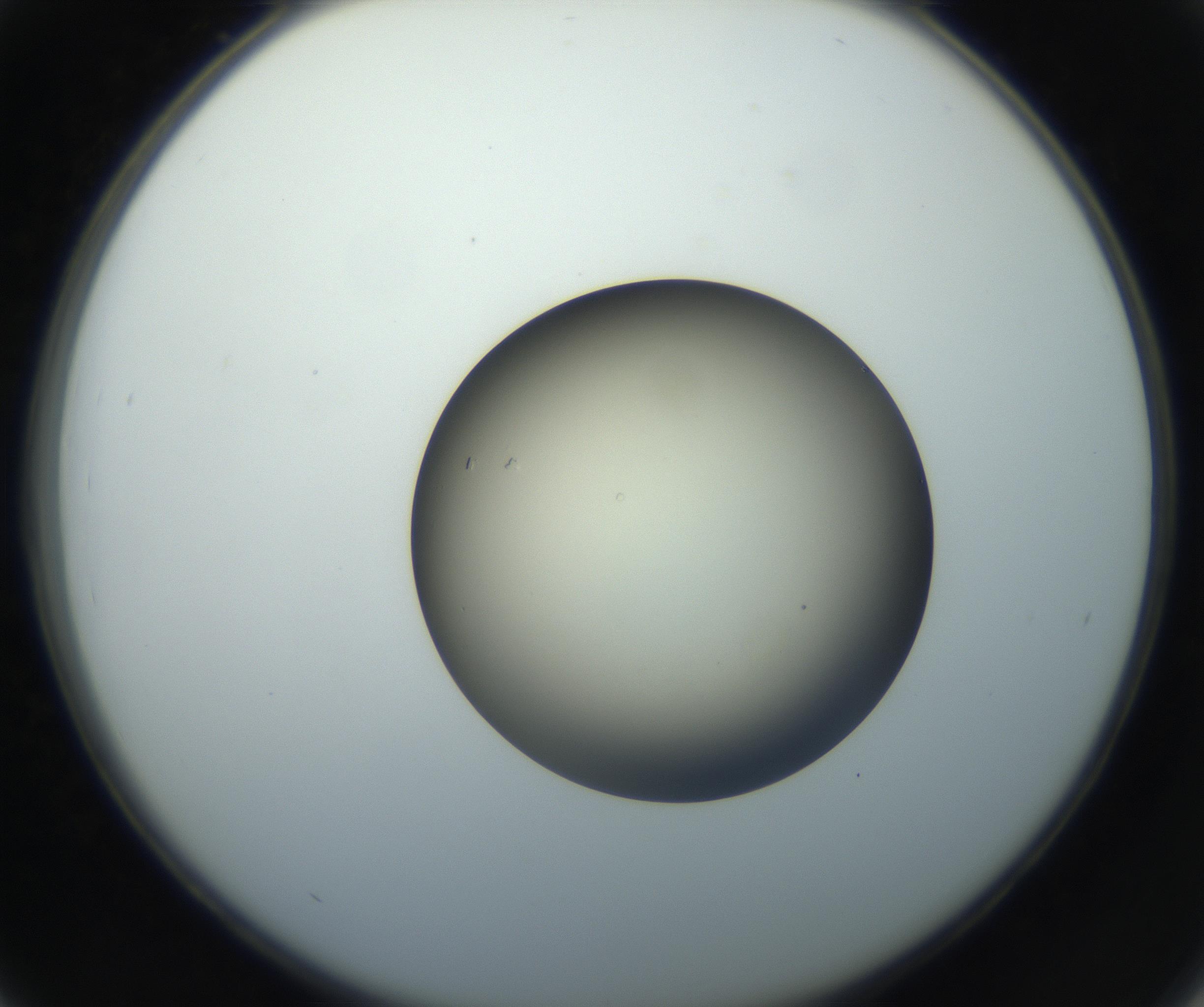 RI01_03_000_0212_Proj1_Clon1_MC_0000MC102735_003_160921_03_04_02_00_99_002_001_RAI.jpg
