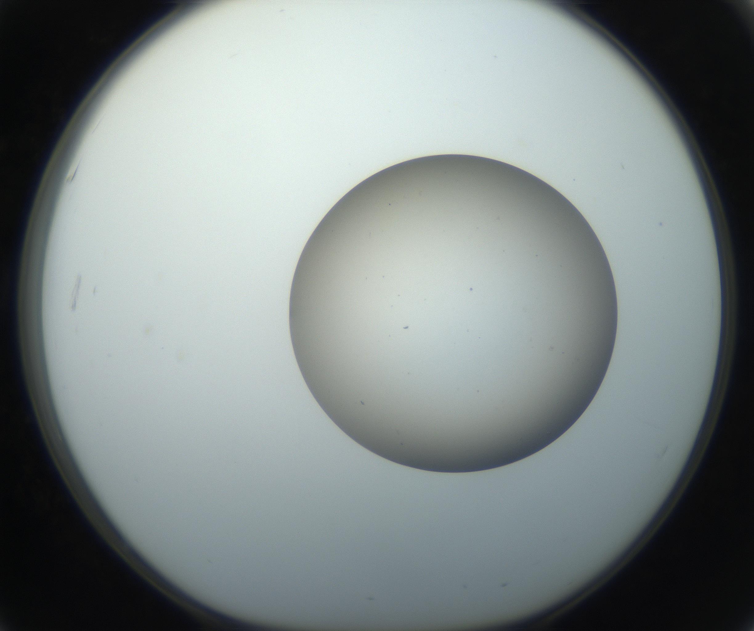 RI01_03_000_0212_Proj1_Clon1_MC_0000MC102735_003_160921_03_05_01_00_99_002_001_RAI.jpg