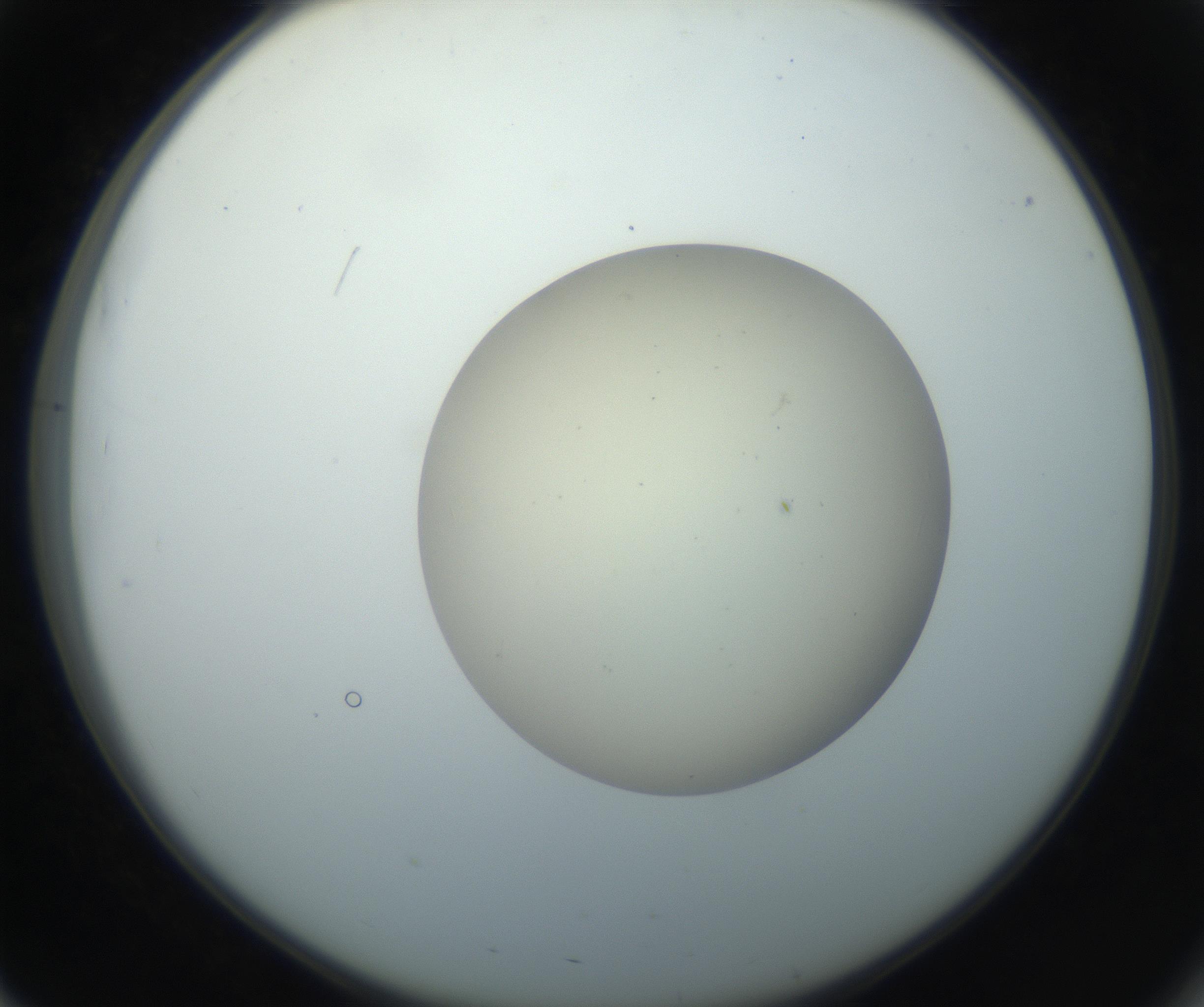 RI01_03_000_0212_Proj1_Clon1_MC_0000MC102735_003_160921_03_05_02_00_99_002_001_RAI.jpg