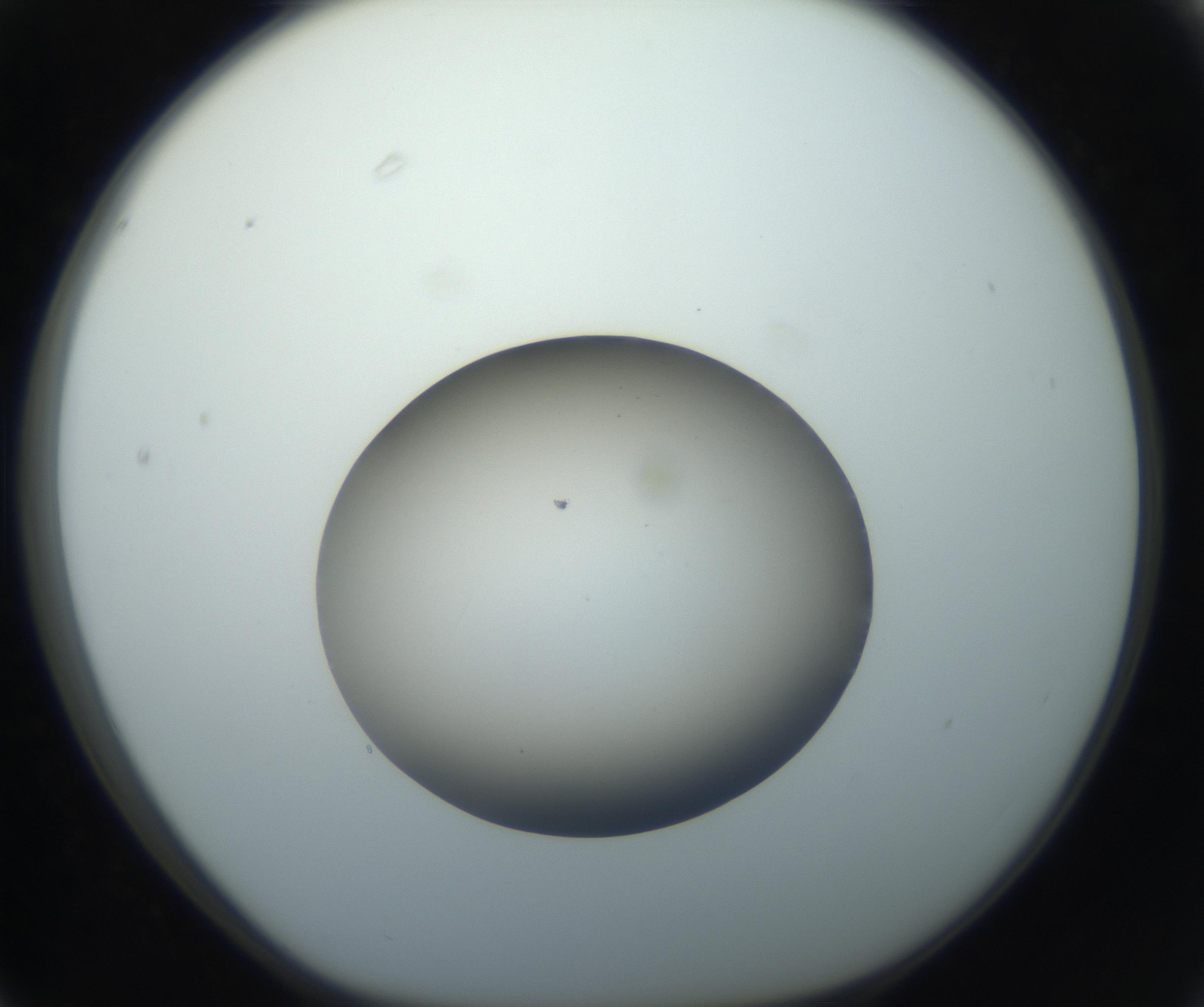 RI01_03_000_0212_Proj1_Clon1_MC_0000MC102735_003_160921_03_06_01_00_99_002_001_RAI.jpg