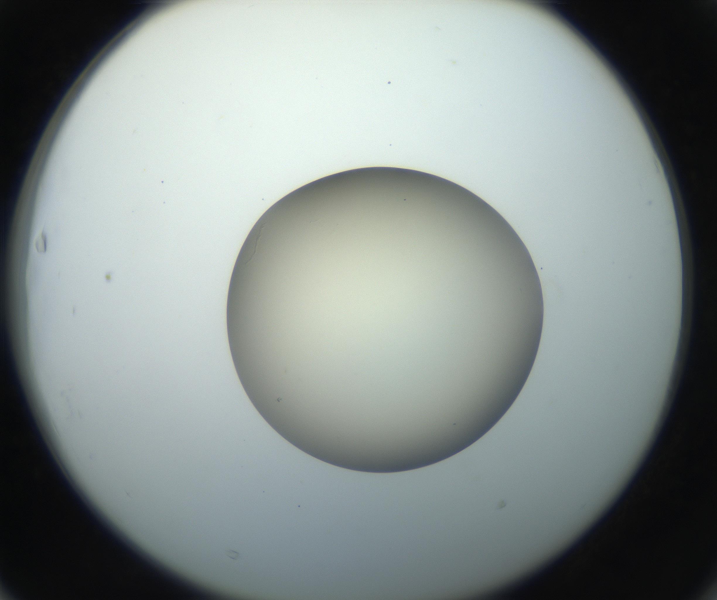 RI01_03_000_0212_Proj1_Clon1_MC_0000MC102735_003_160921_03_06_02_00_99_002_001_RAI.jpg