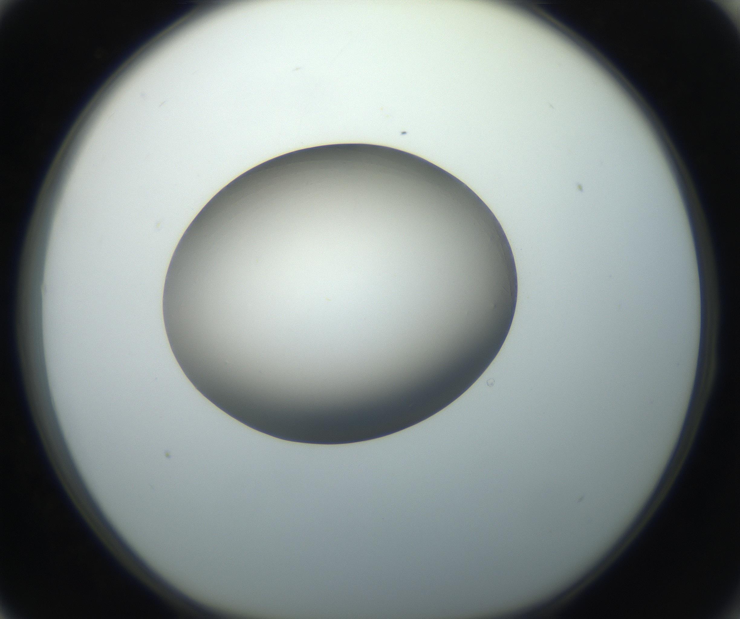 RI01_03_000_0212_Proj1_Clon1_MC_0000MC102735_003_160921_03_08_01_00_99_002_001_RAI.jpg