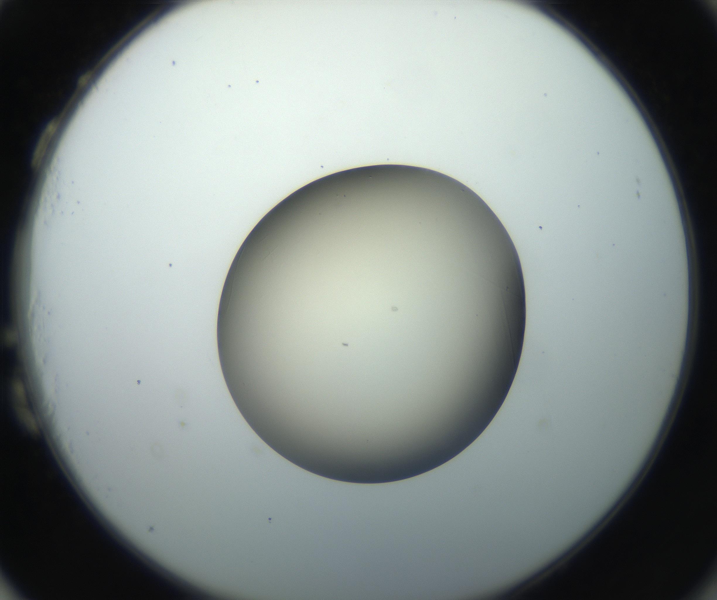 RI01_03_000_0212_Proj1_Clon1_MC_0000MC102735_003_160921_03_08_02_00_99_002_001_RAI.jpg