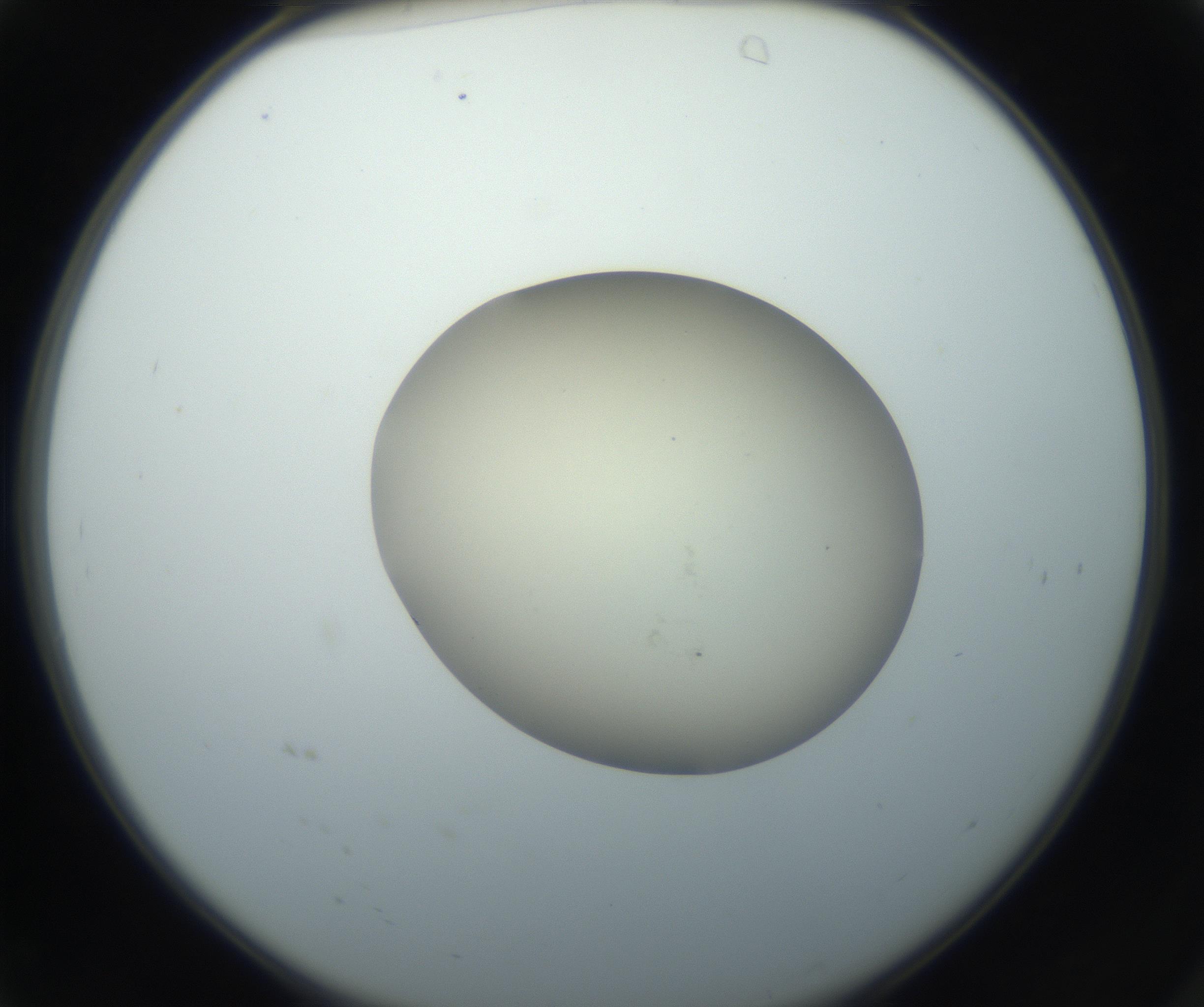 RI01_03_000_0212_Proj1_Clon1_MC_0000MC102735_003_160921_04_01_02_00_99_002_001_RAI.jpg