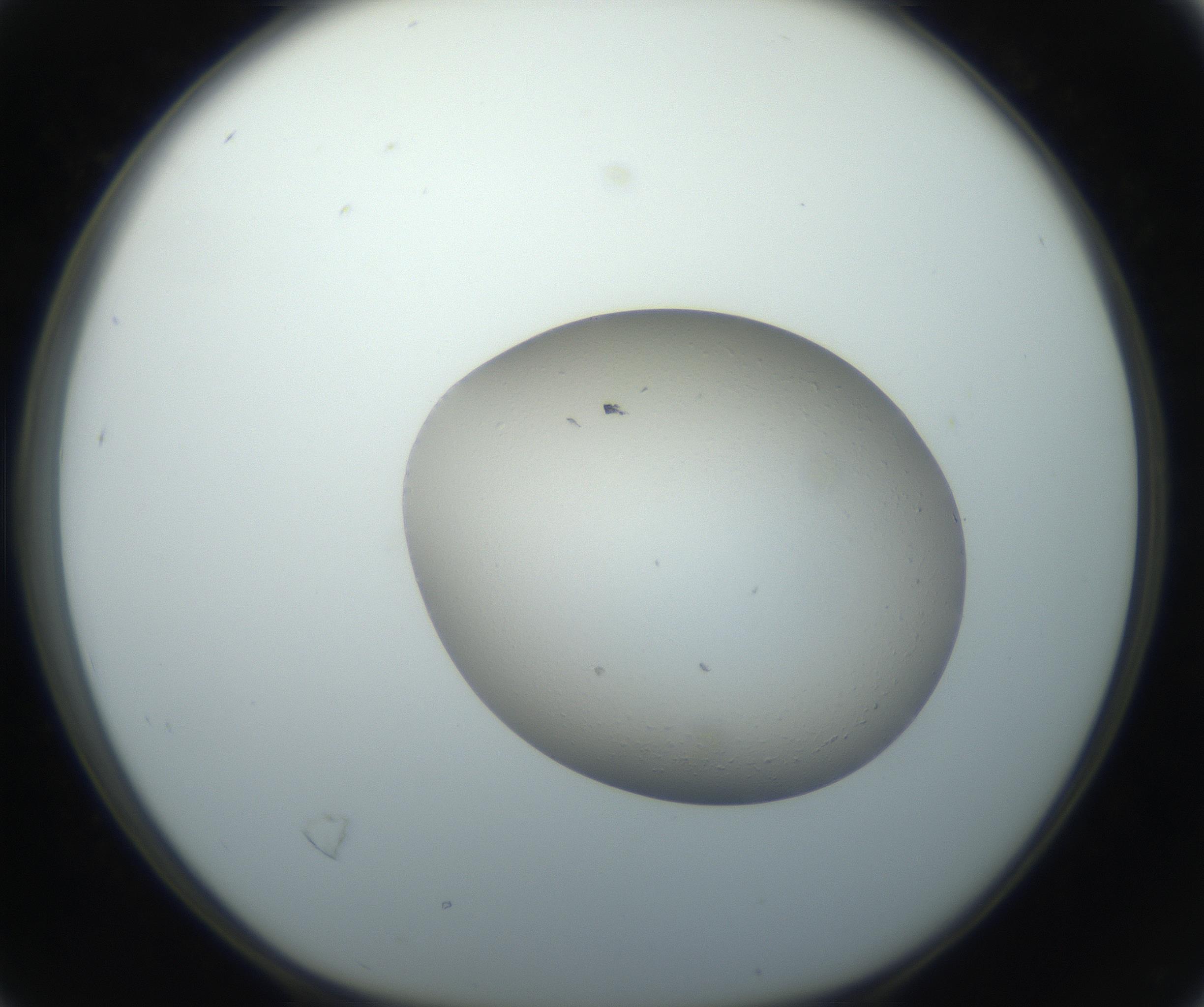 RI01_03_000_0212_Proj1_Clon1_MC_0000MC102735_003_160921_04_02_01_00_99_002_001_RAI.jpg