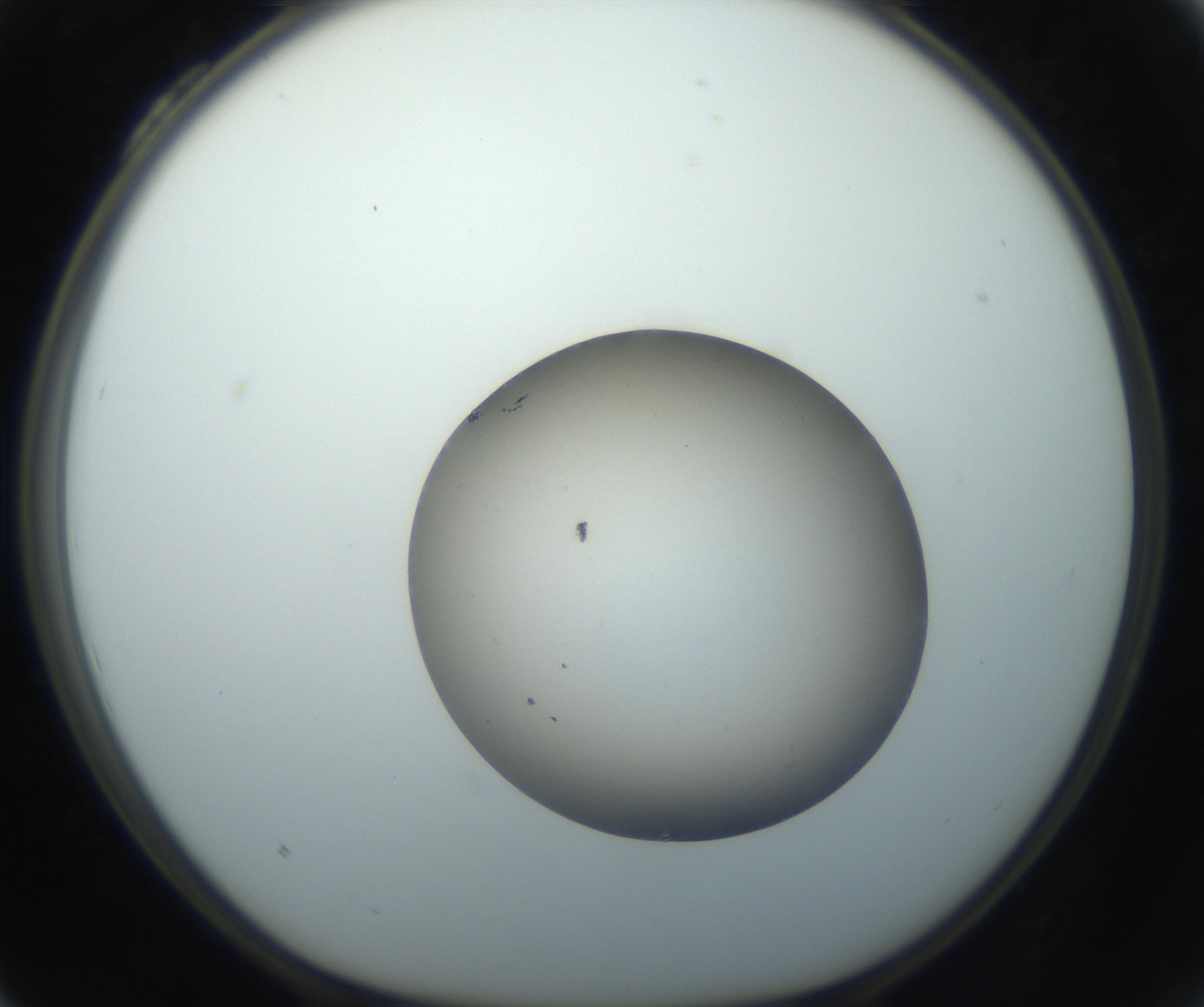 RI01_03_000_0212_Proj1_Clon1_MC_0000MC102735_003_160921_04_03_01_00_99_002_001_RAI.jpg