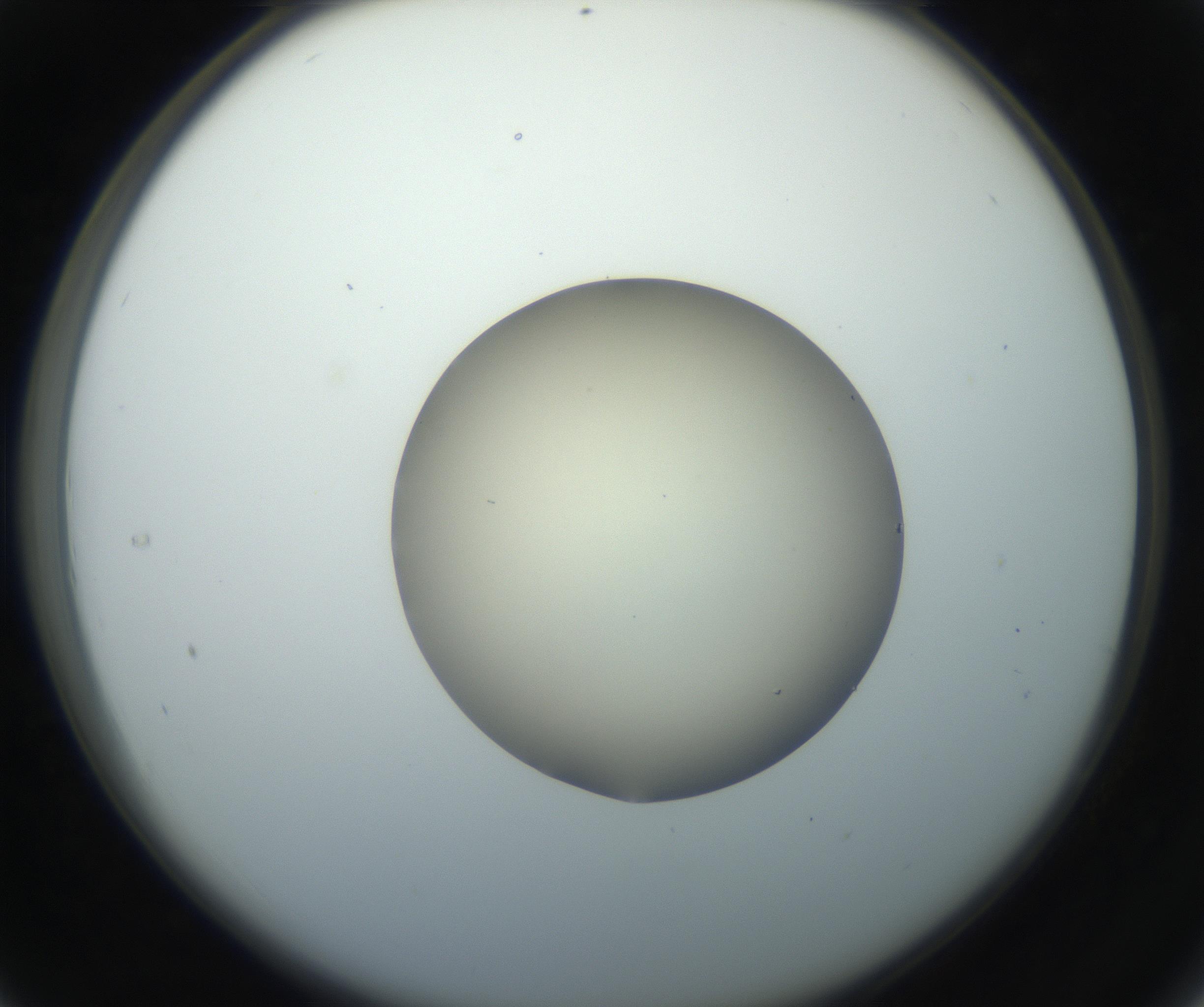 RI01_03_000_0212_Proj1_Clon1_MC_0000MC102735_003_160921_04_03_02_00_99_002_001_RAI.jpg