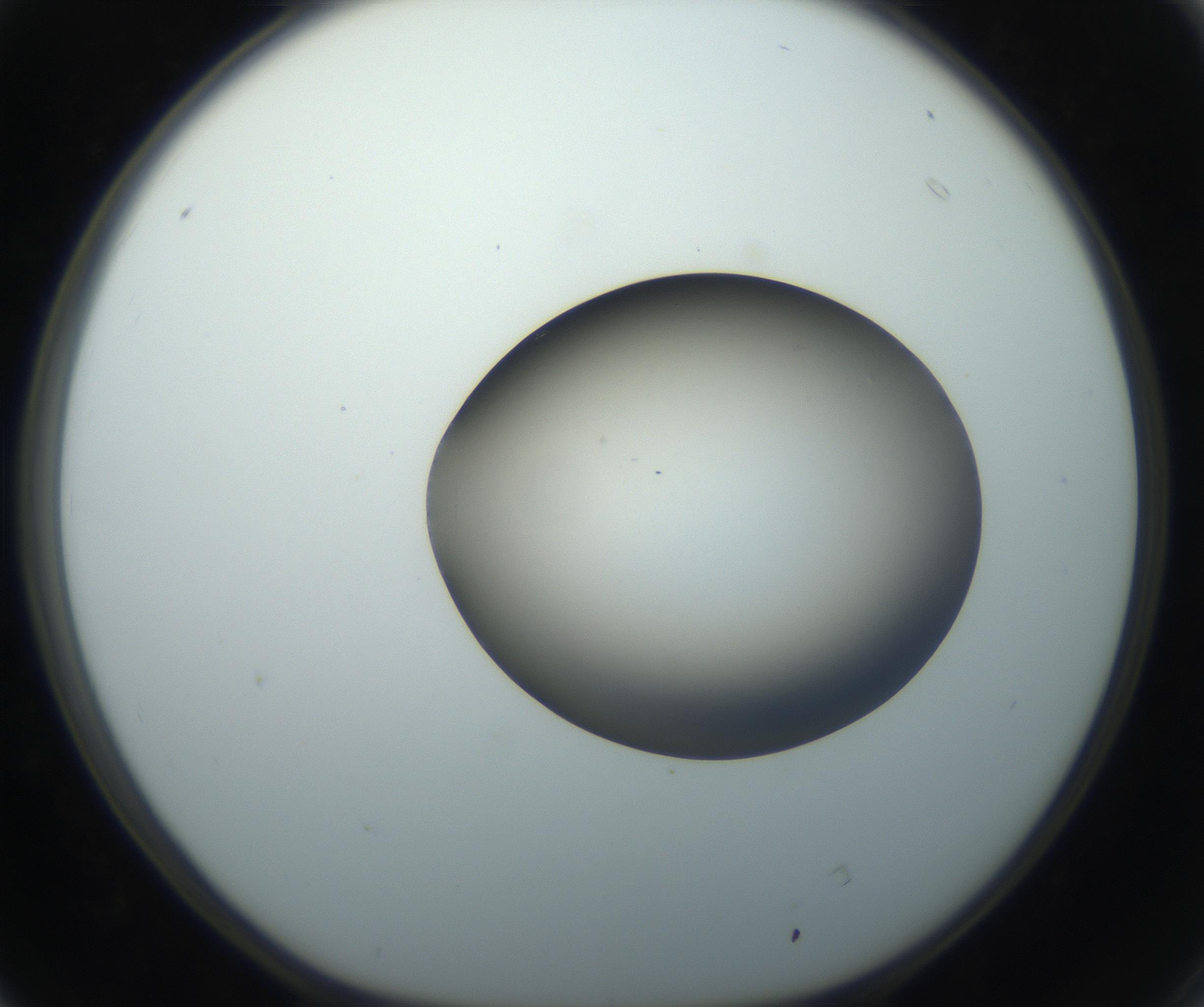 RI01_03_000_0212_Proj1_Clon1_MC_0000MC102735_003_160921_04_04_01_00_99_002_001_RAI.jpg