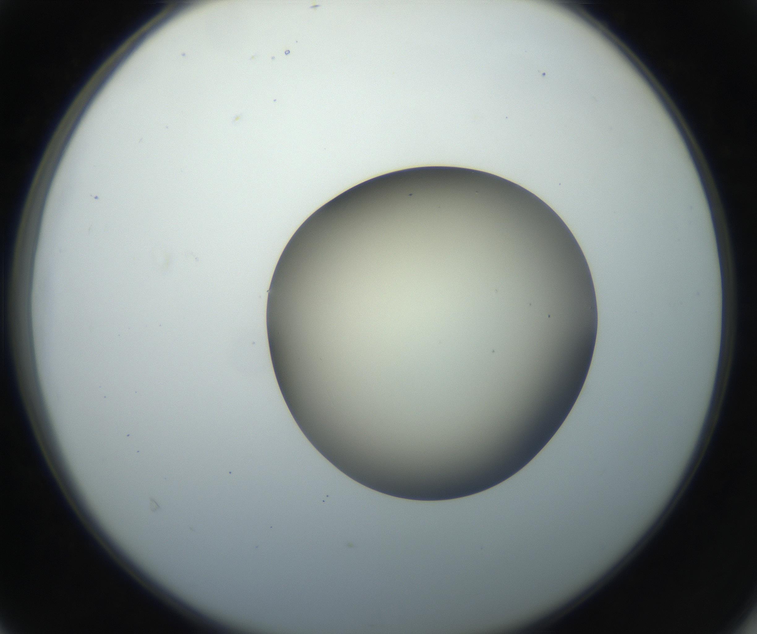 RI01_03_000_0212_Proj1_Clon1_MC_0000MC102735_003_160921_04_04_02_00_99_002_001_RAI.jpg