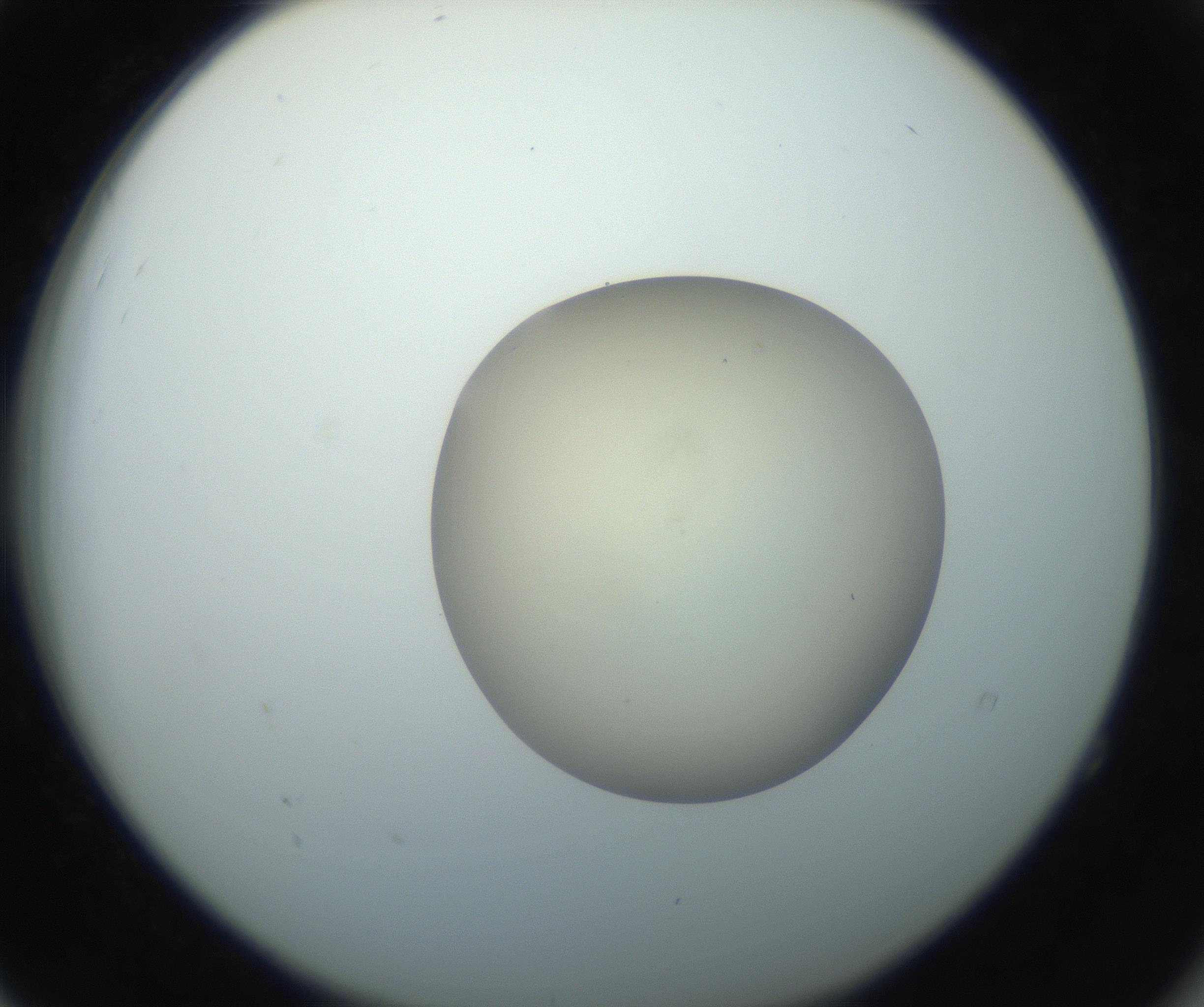 RI01_03_000_0212_Proj1_Clon1_MC_0000MC102735_003_160921_04_05_02_00_99_002_001_RAI.jpg