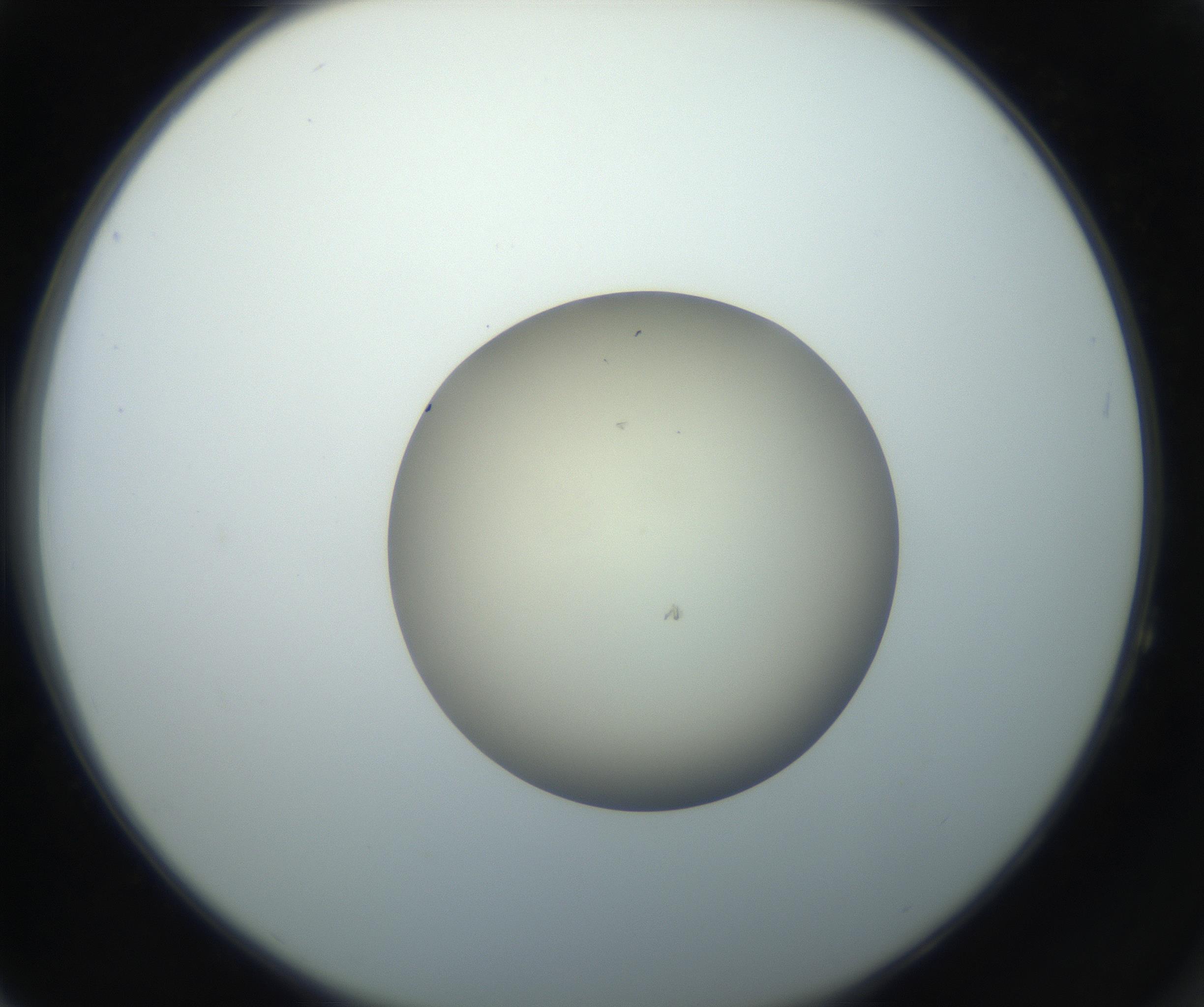 RI01_03_000_0212_Proj1_Clon1_MC_0000MC102735_003_160921_04_06_02_00_99_002_001_RAI.jpg