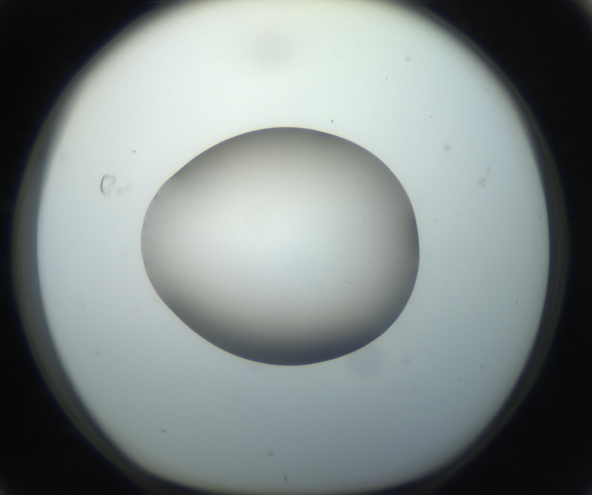 RI01_03_000_0212_Proj1_Clon1_MC_0000MC102735_003_160921_04_07_01_00_99_002_001_RAI.jpg
