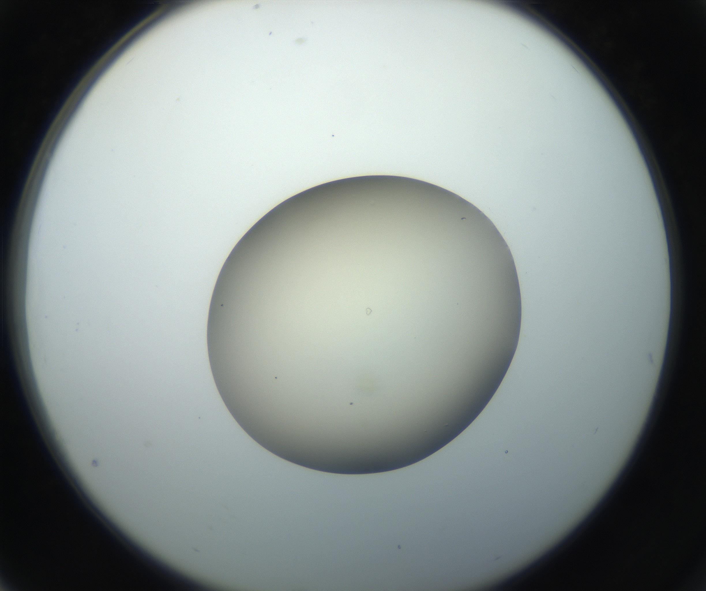 RI01_03_000_0212_Proj1_Clon1_MC_0000MC102735_003_160921_04_07_02_00_99_002_001_RAI.jpg