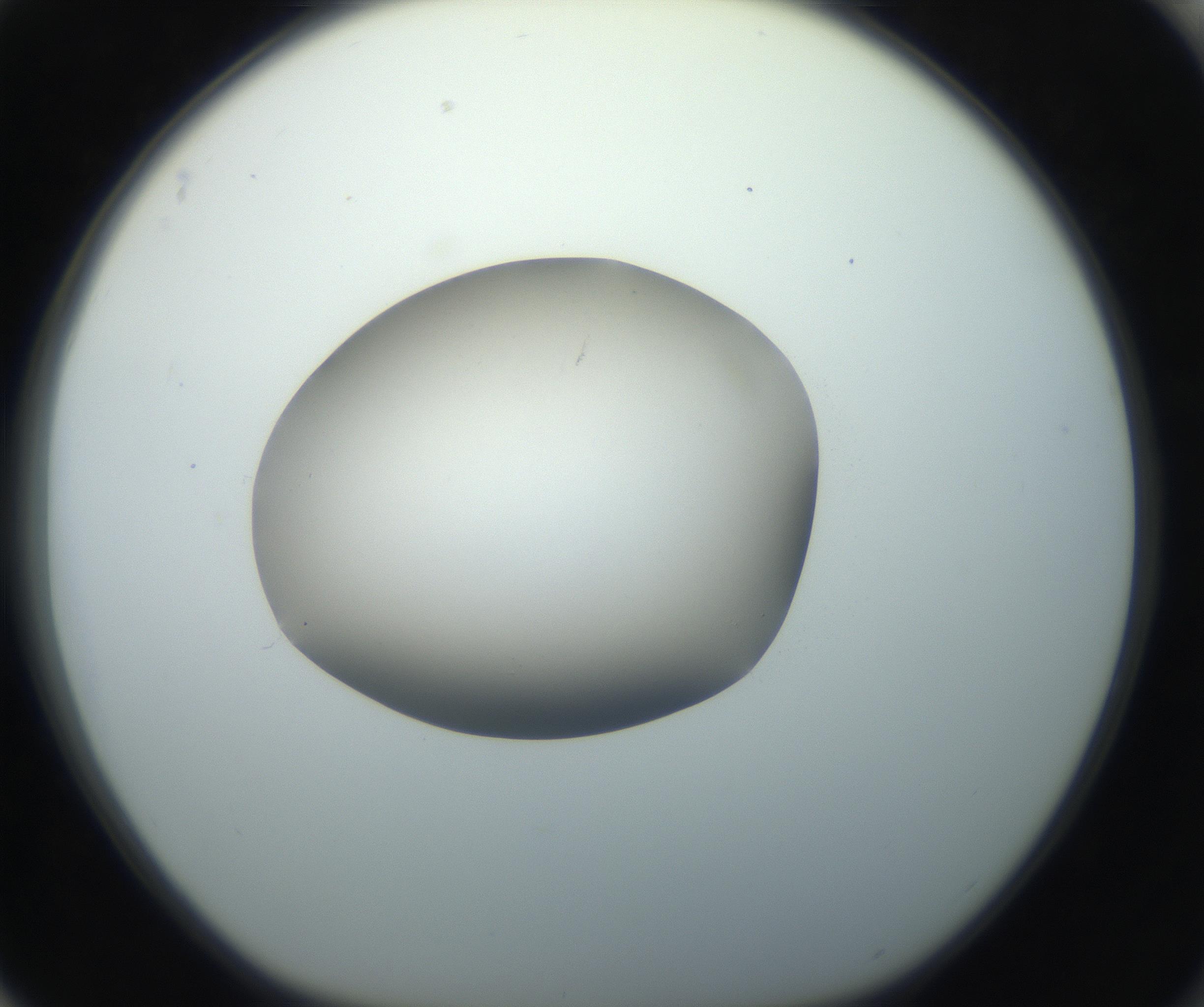 RI01_03_000_0212_Proj1_Clon1_MC_0000MC102735_003_160921_04_08_01_00_99_002_001_RAI.jpg