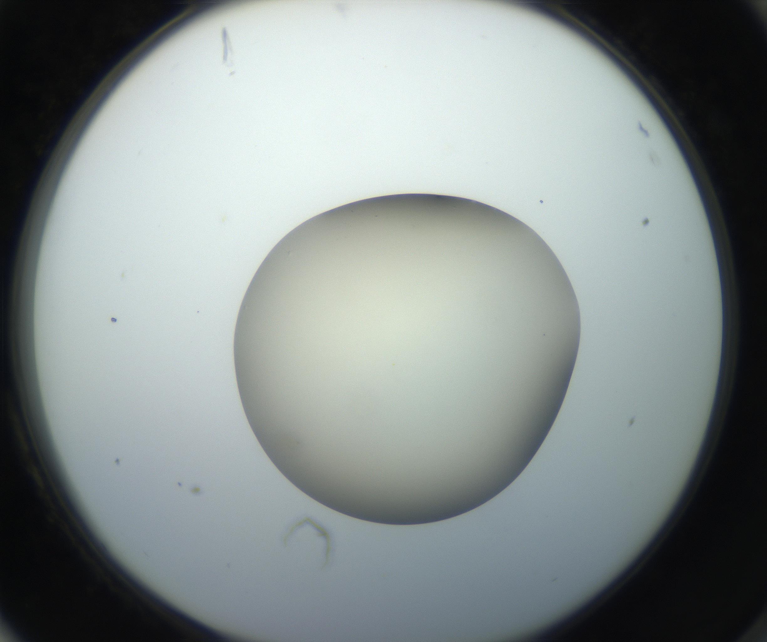 RI01_03_000_0212_Proj1_Clon1_MC_0000MC102735_003_160921_04_08_02_00_99_002_001_RAI.jpg
