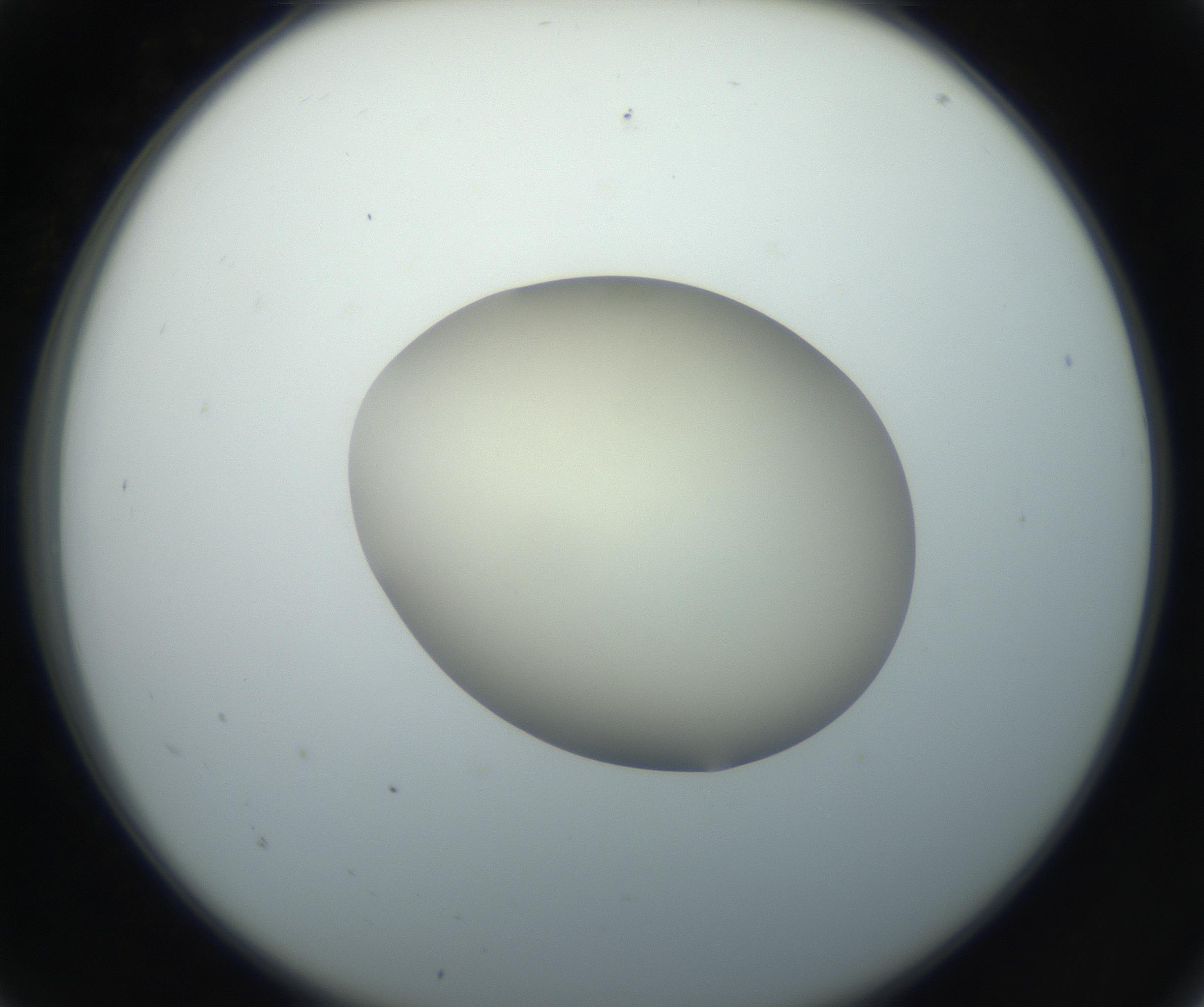 RI01_03_000_0212_Proj1_Clon1_MC_0000MC102735_003_160921_05_01_02_00_99_002_001_RAI.jpg