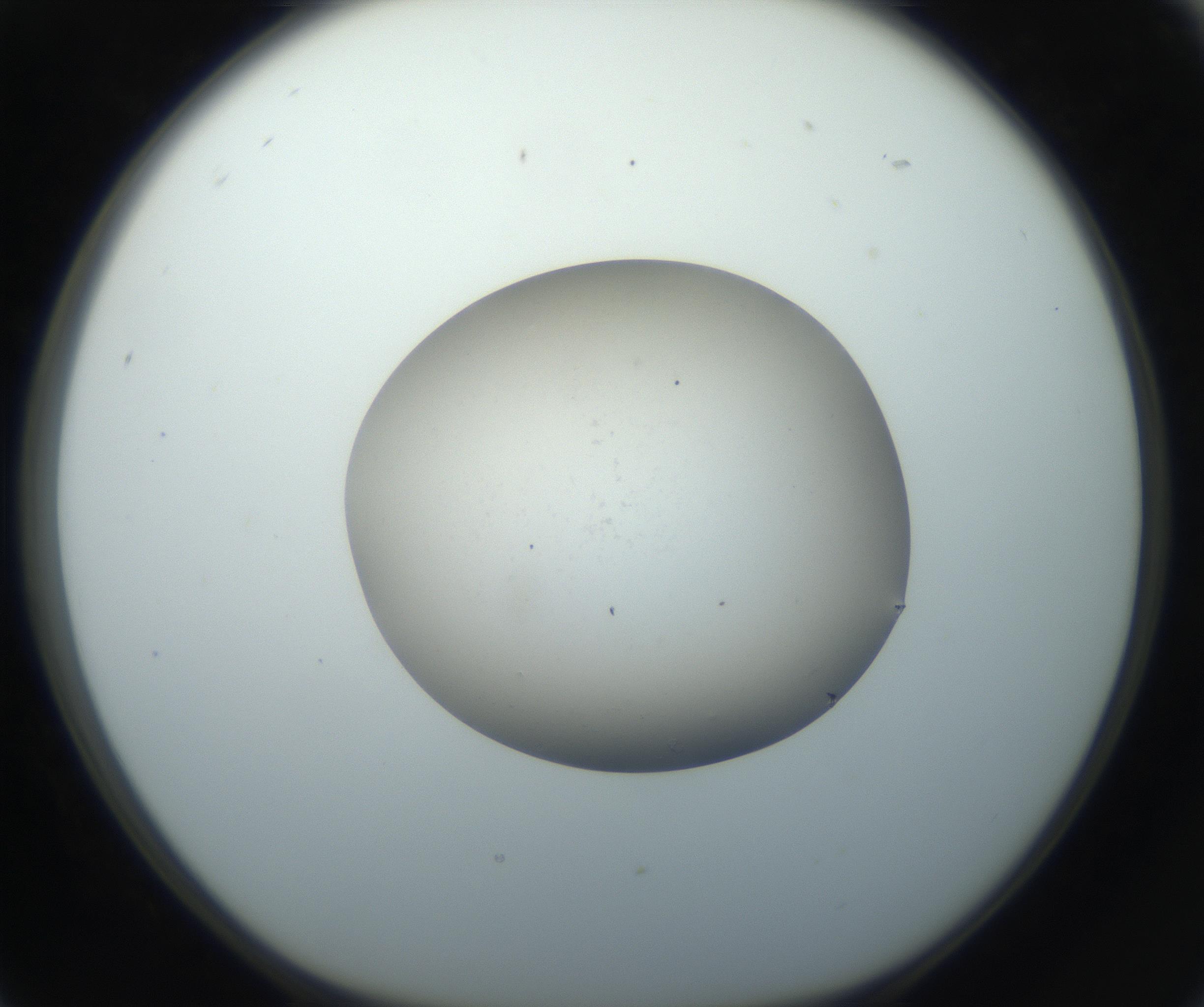 RI01_03_000_0212_Proj1_Clon1_MC_0000MC102735_003_160921_05_02_01_00_99_002_001_RAI.jpg