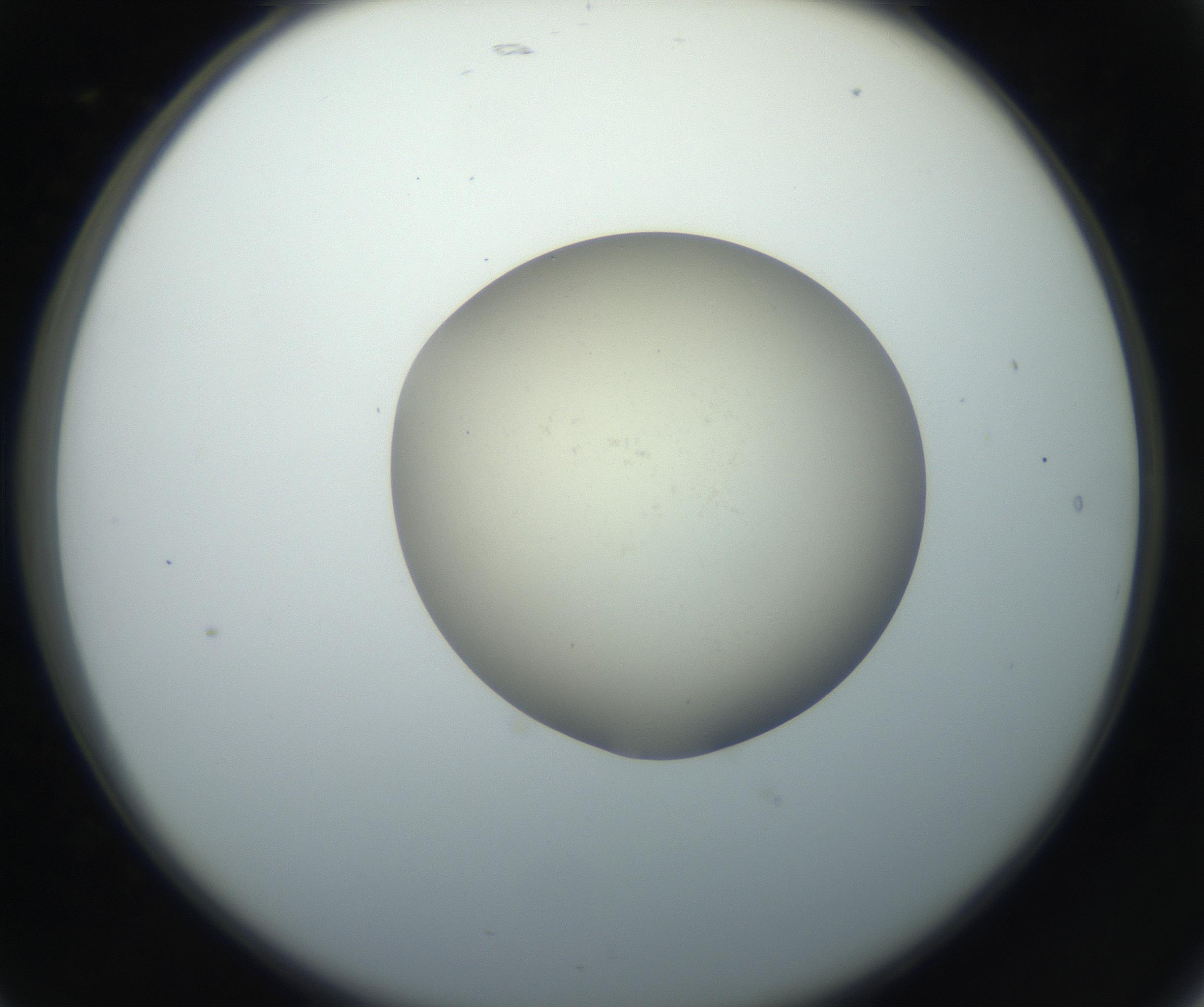RI01_03_000_0212_Proj1_Clon1_MC_0000MC102735_003_160921_05_02_02_00_99_002_001_RAI.jpg