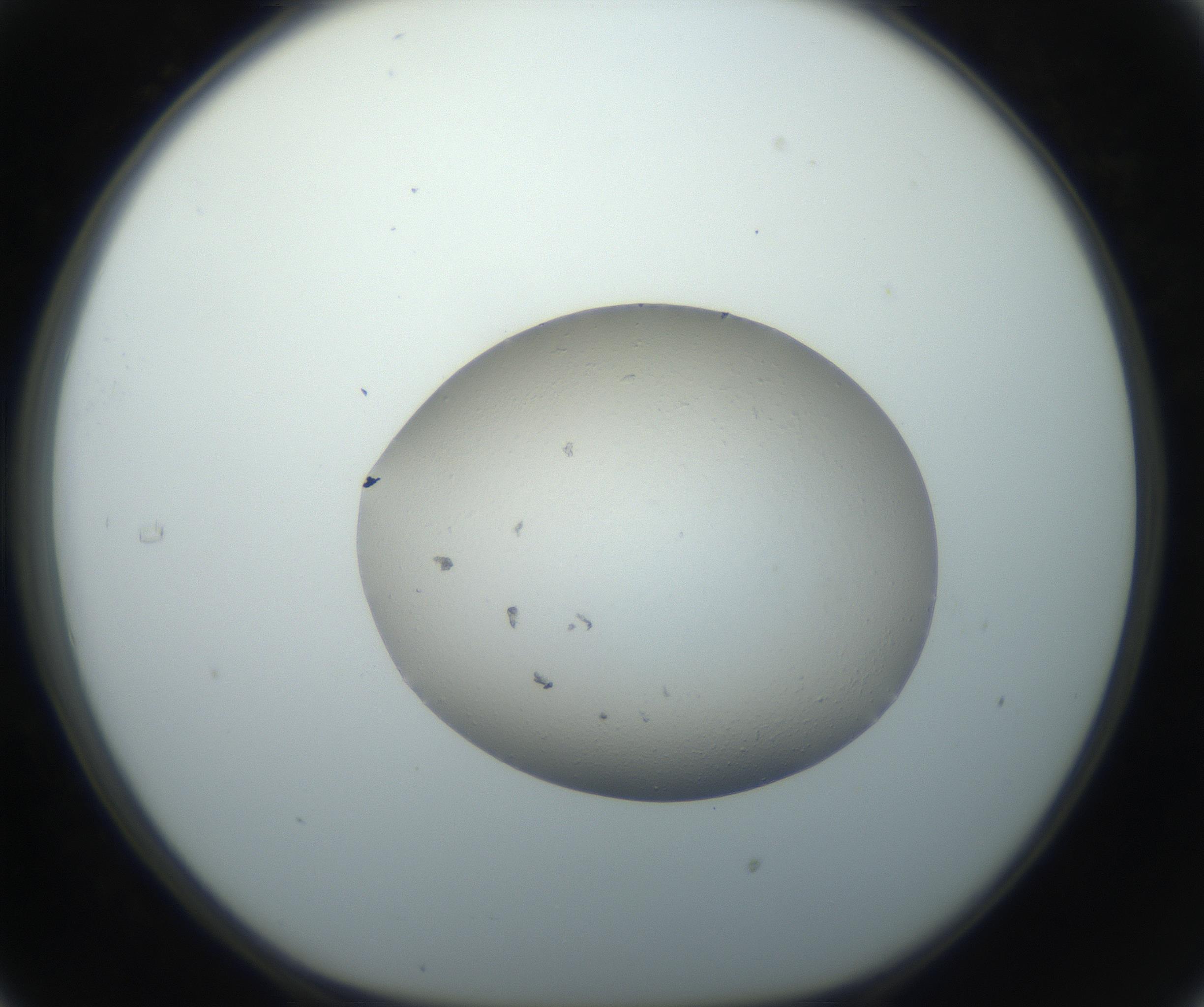RI01_03_000_0212_Proj1_Clon1_MC_0000MC102735_003_160921_05_03_01_00_99_002_001_RAI.jpg