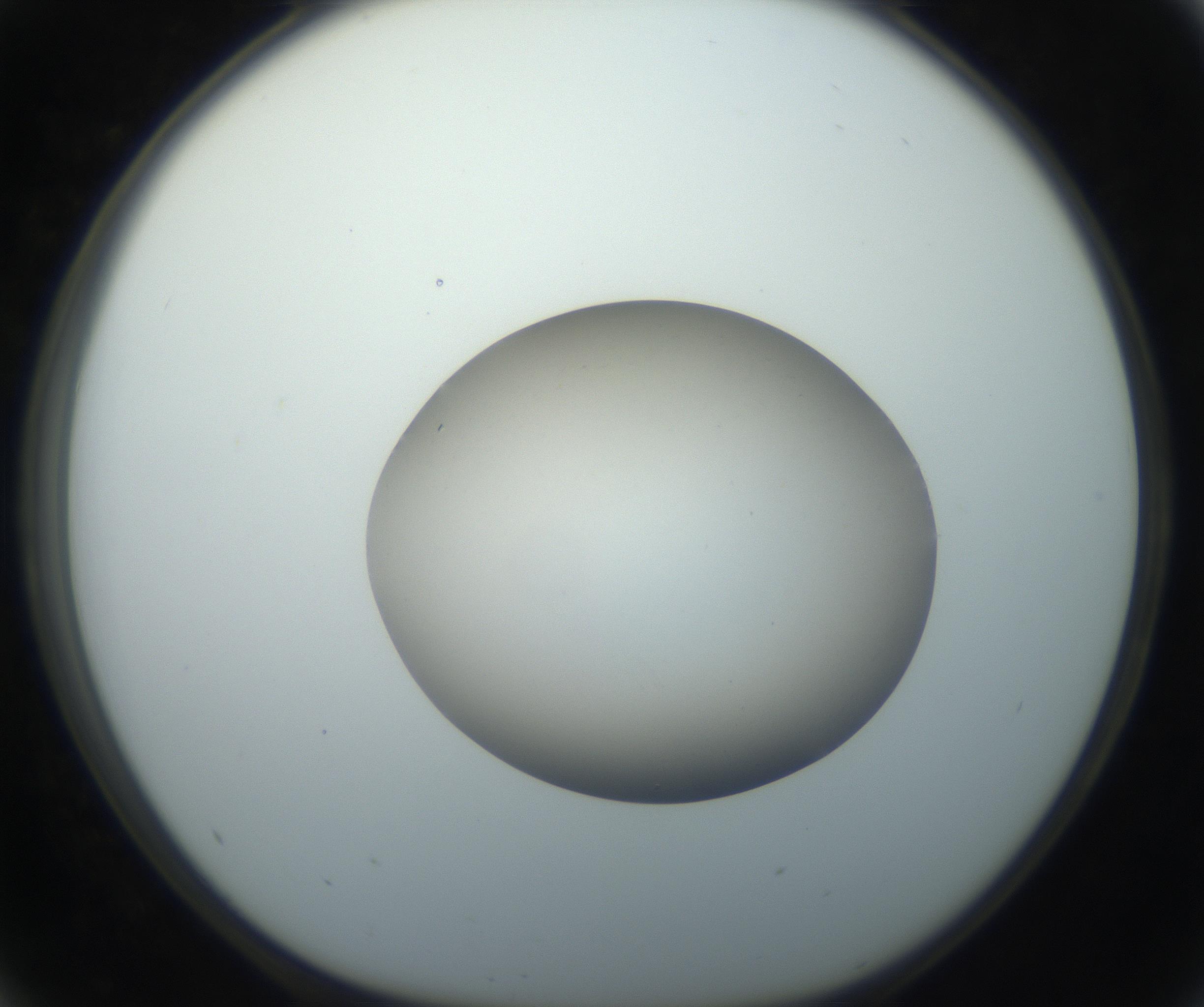 RI01_03_000_0212_Proj1_Clon1_MC_0000MC102735_003_160921_05_04_01_00_99_002_001_RAI.jpg