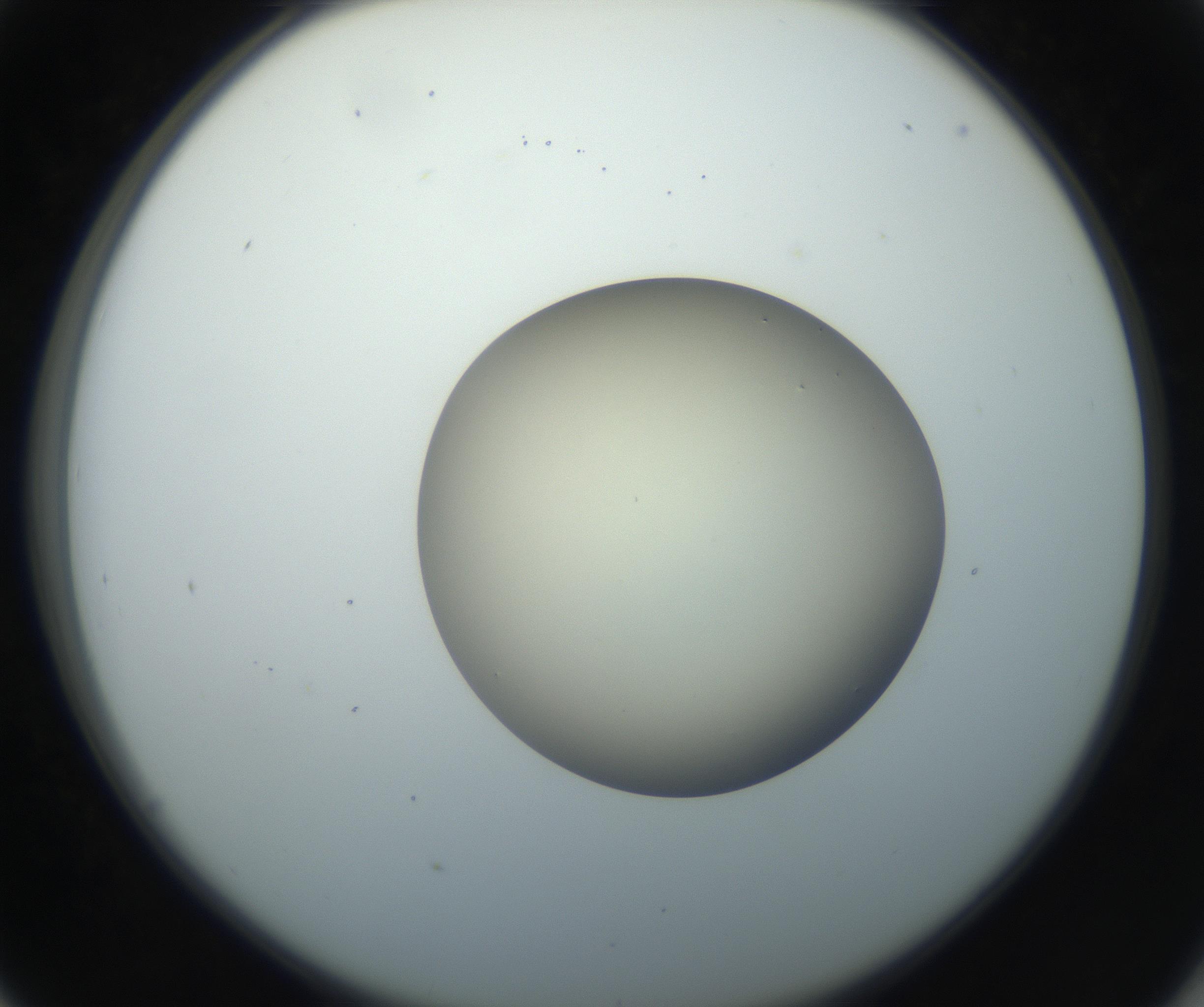 RI01_03_000_0212_Proj1_Clon1_MC_0000MC102735_003_160921_05_04_02_00_99_002_001_RAI.jpg