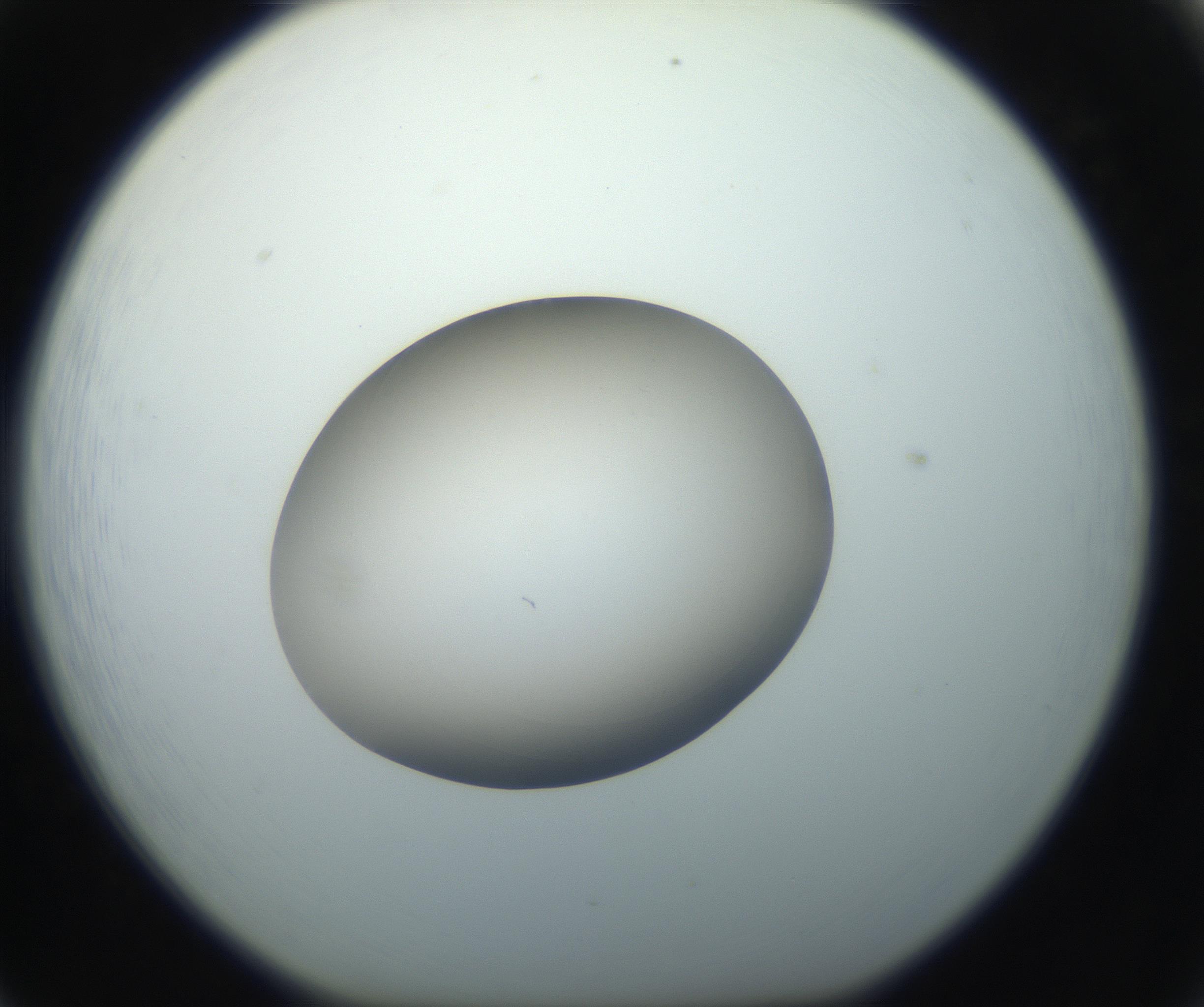 RI01_03_000_0212_Proj1_Clon1_MC_0000MC102735_003_160921_05_06_01_00_99_002_001_RAI.jpg