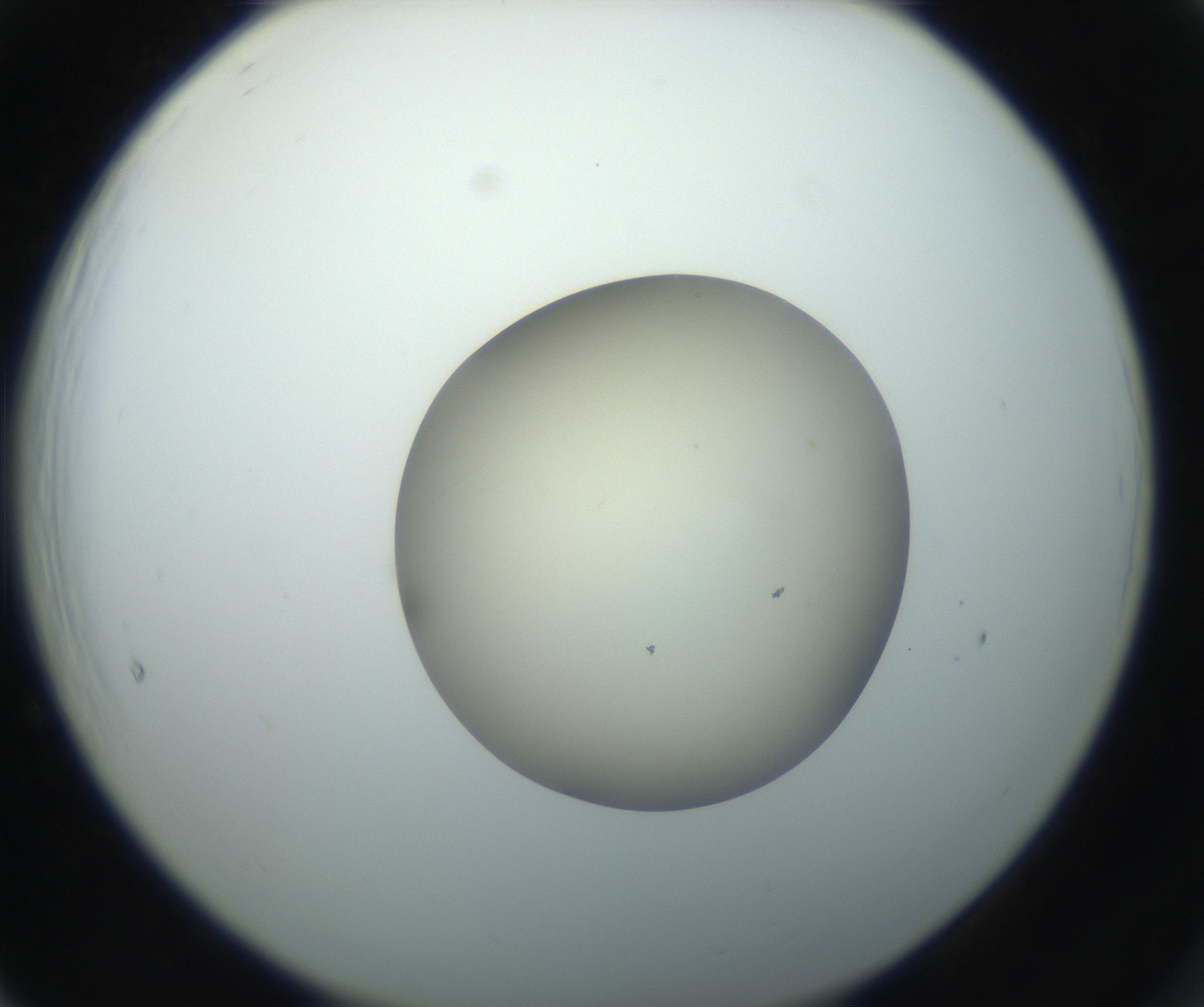 RI01_03_000_0212_Proj1_Clon1_MC_0000MC102735_003_160921_05_06_02_00_99_002_001_RAI.jpg