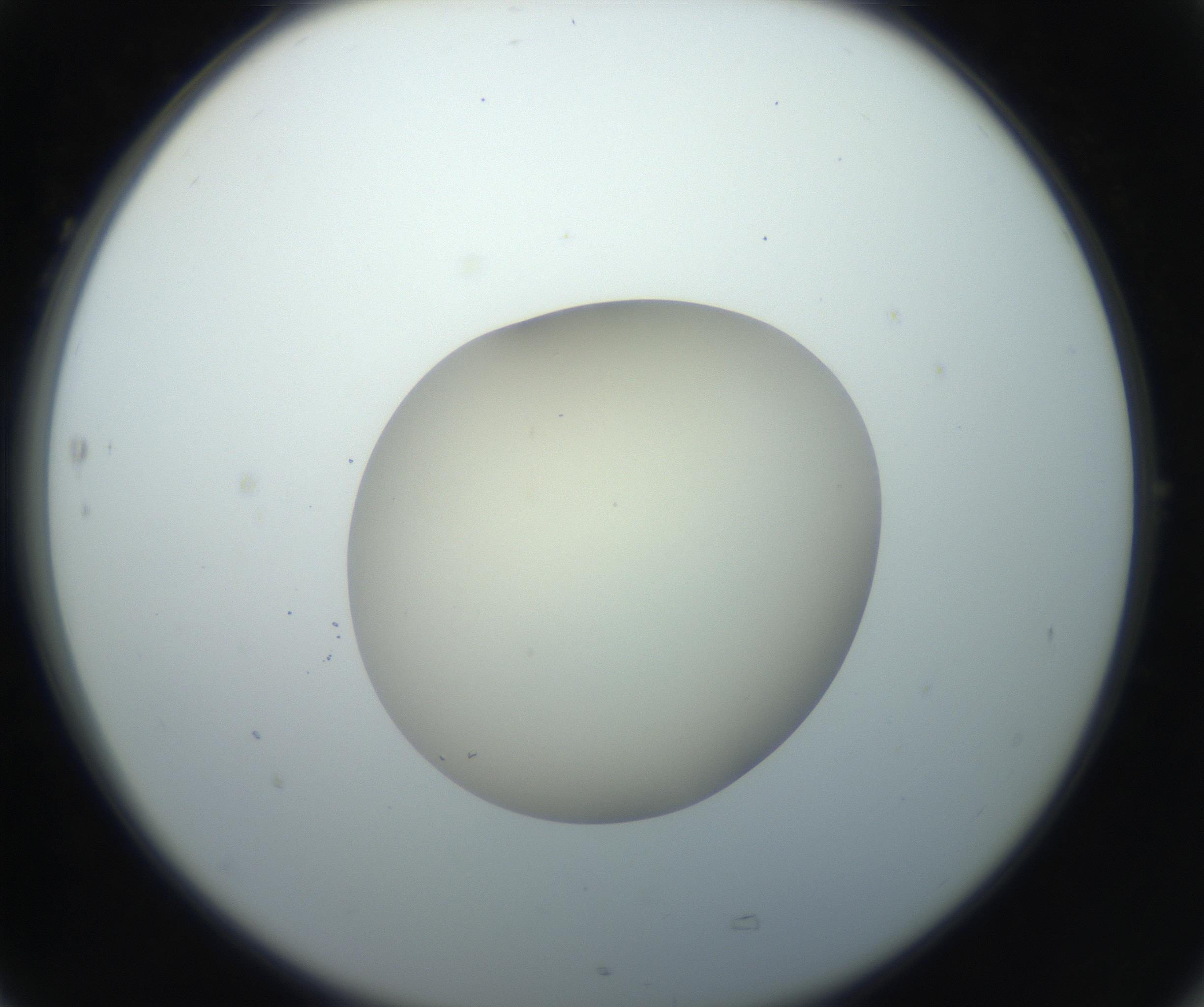 RI01_03_000_0212_Proj1_Clon1_MC_0000MC102735_003_160921_05_07_02_00_99_002_001_RAI.jpg