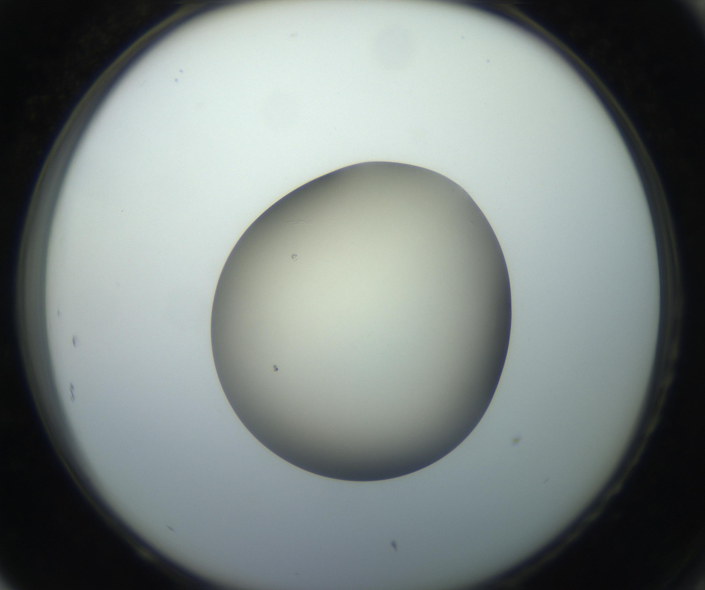 RI01_03_000_0212_Proj1_Clon1_MC_0000MC102735_003_160921_05_08_02_00_99_002_001_RAI.jpg