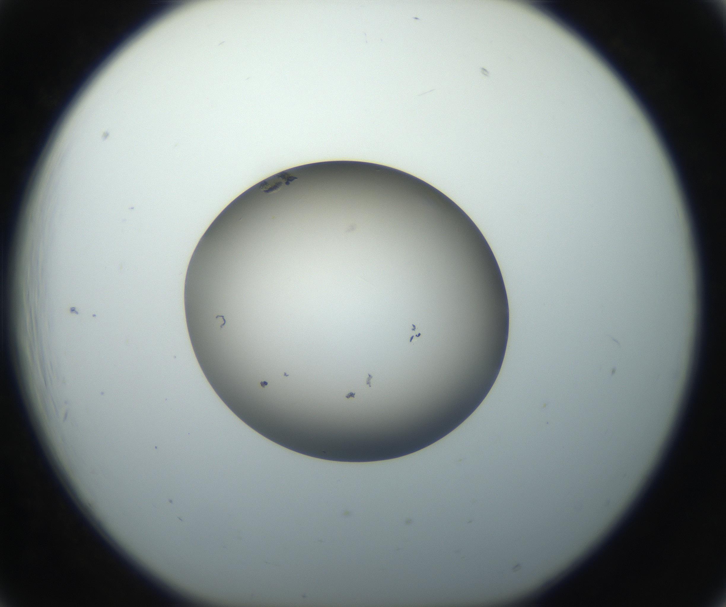 RI01_03_000_0212_Proj1_Clon1_MC_0000MC102735_003_160921_06_02_01_00_99_002_001_RAI.jpg