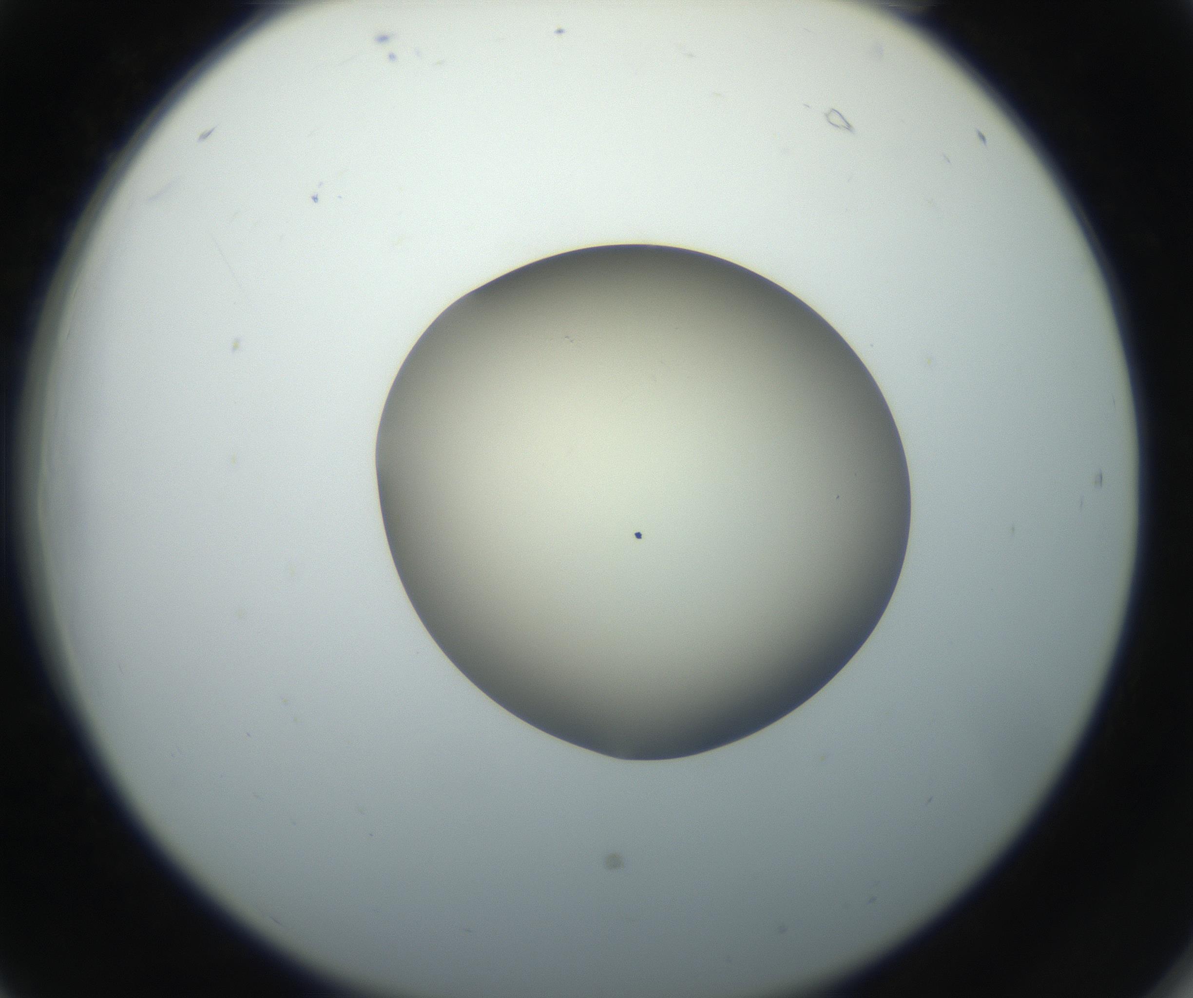 RI01_03_000_0212_Proj1_Clon1_MC_0000MC102735_003_160921_06_02_02_00_99_002_001_RAI.jpg