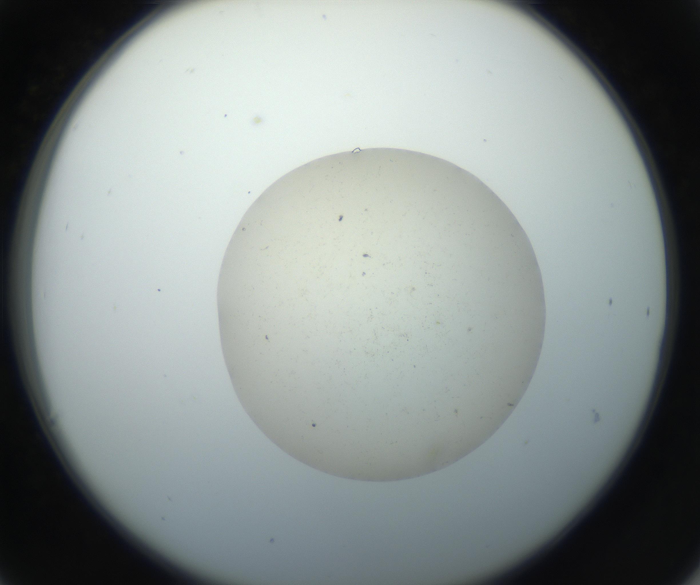RI01_03_000_0212_Proj1_Clon1_MC_0000MC102735_003_160921_06_03_02_00_99_002_001_RAI.jpg