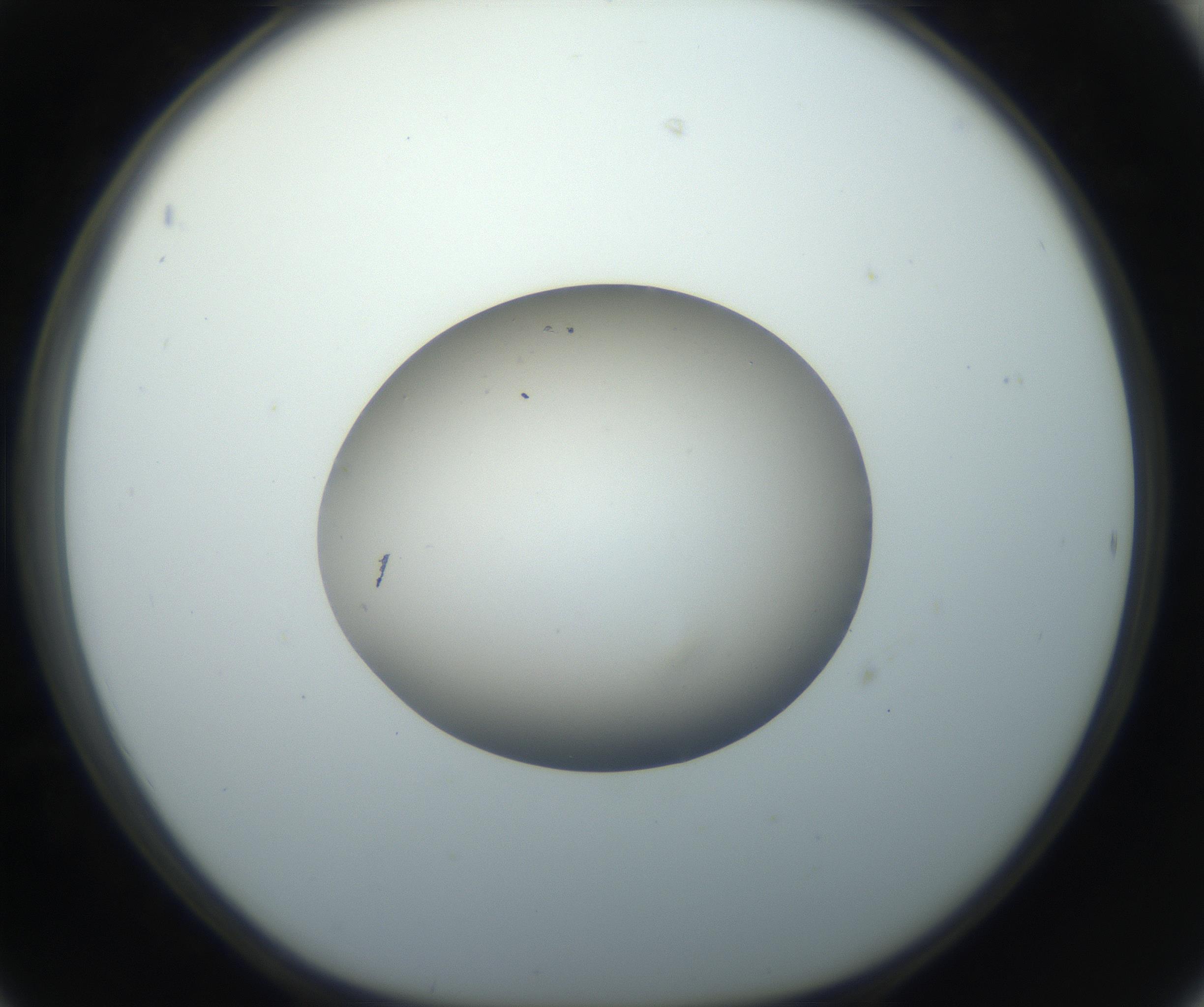 RI01_03_000_0212_Proj1_Clon1_MC_0000MC102735_003_160921_06_04_01_00_99_002_001_RAI.jpg