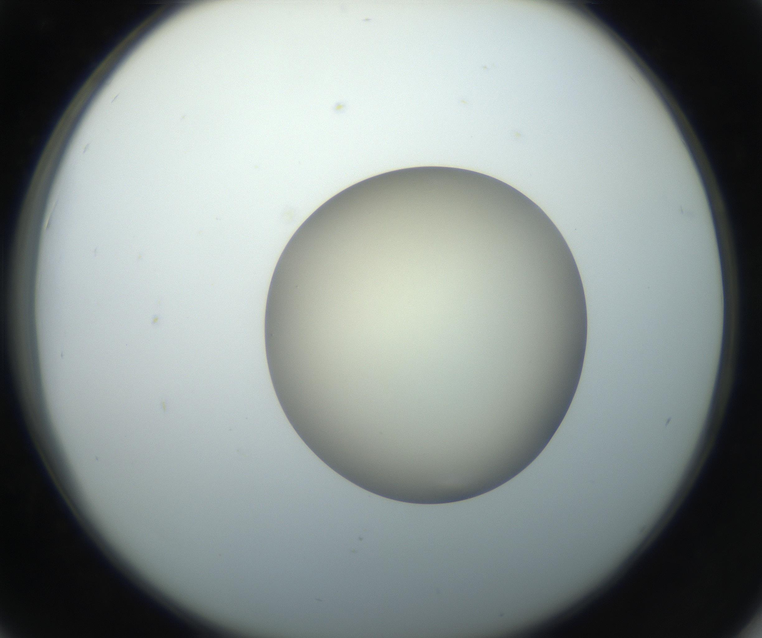 RI01_03_000_0212_Proj1_Clon1_MC_0000MC102735_003_160921_06_04_02_00_99_002_001_RAI.jpg