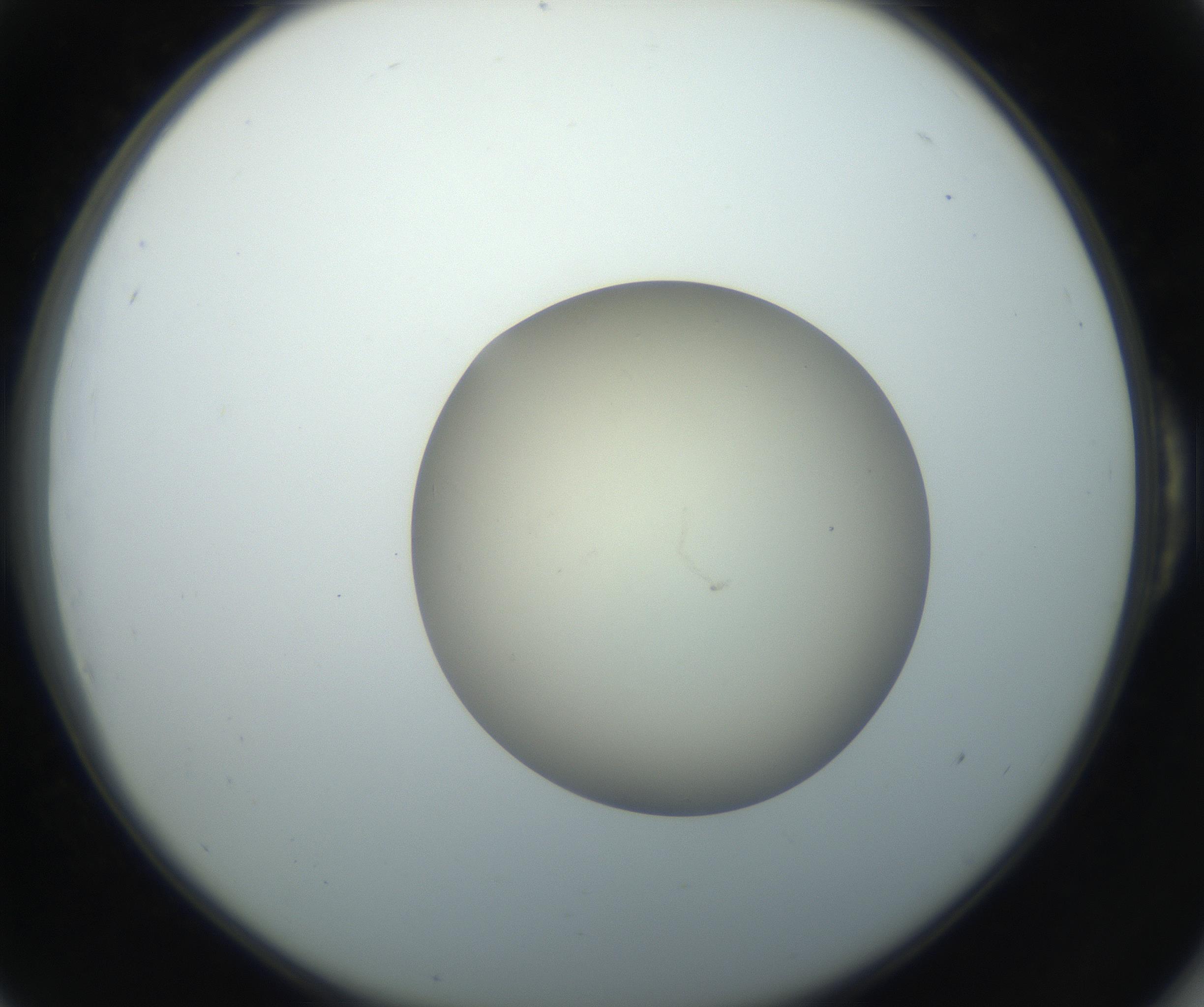 RI01_03_000_0212_Proj1_Clon1_MC_0000MC102735_003_160921_06_05_02_00_99_002_001_RAI.jpg
