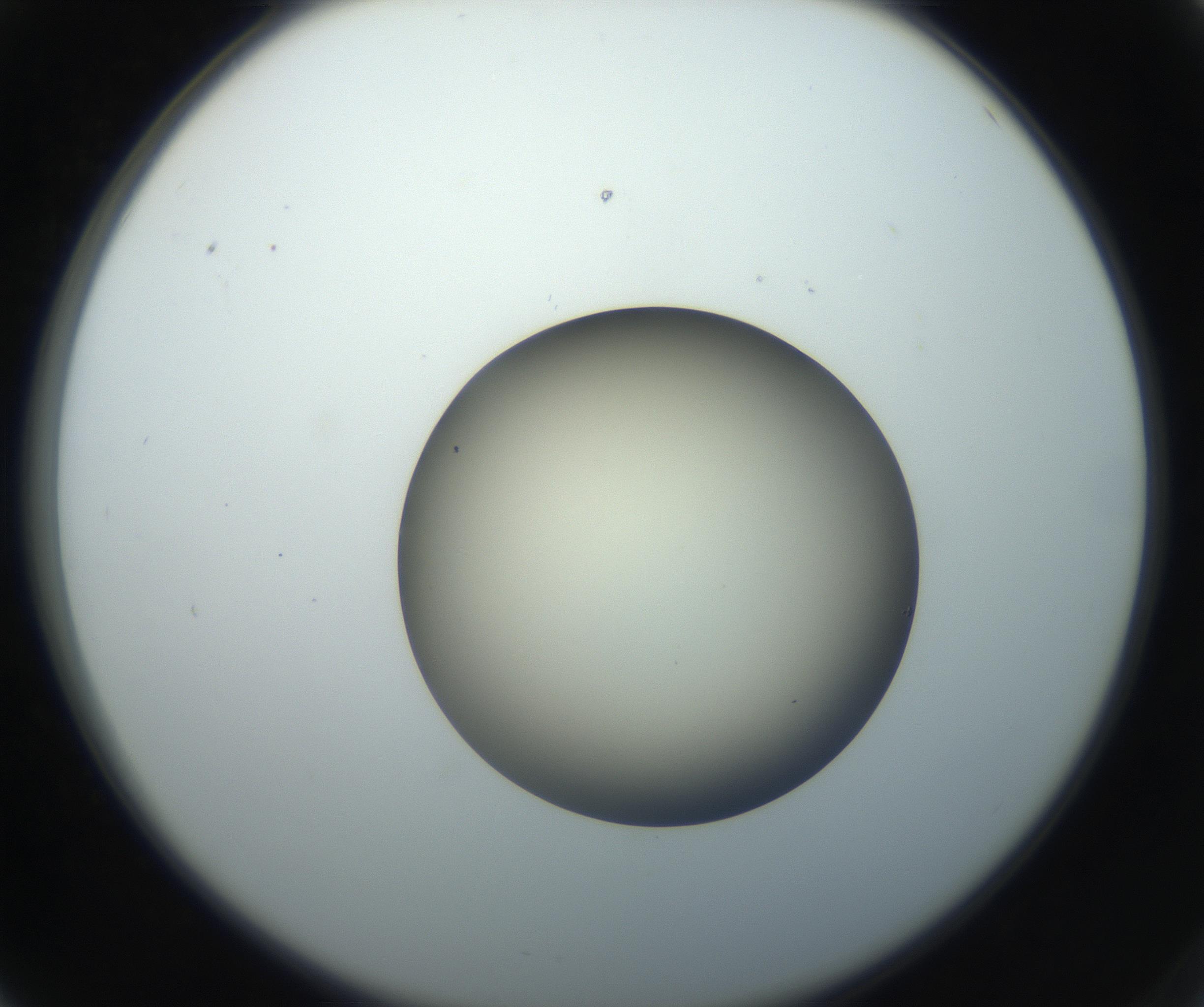 RI01_03_000_0212_Proj1_Clon1_MC_0000MC102735_003_160921_06_06_02_00_99_002_001_RAI.jpg