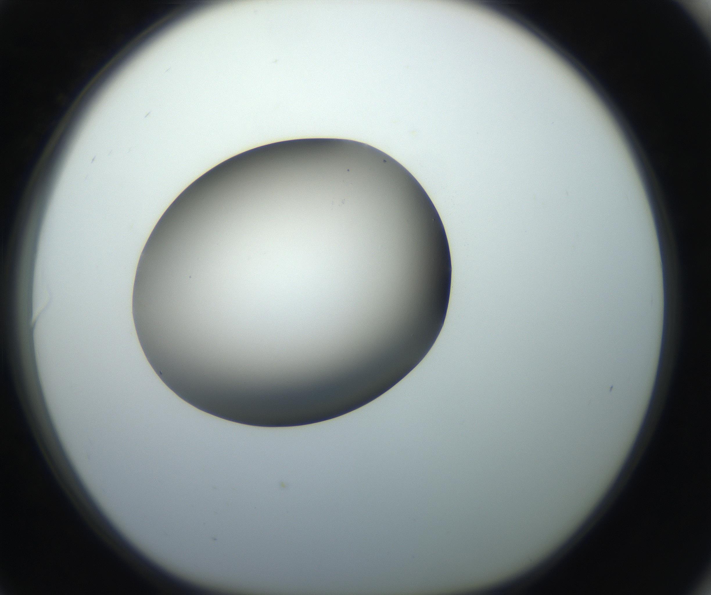 RI01_03_000_0212_Proj1_Clon1_MC_0000MC102735_003_160921_06_08_01_00_99_002_001_RAI.jpg
