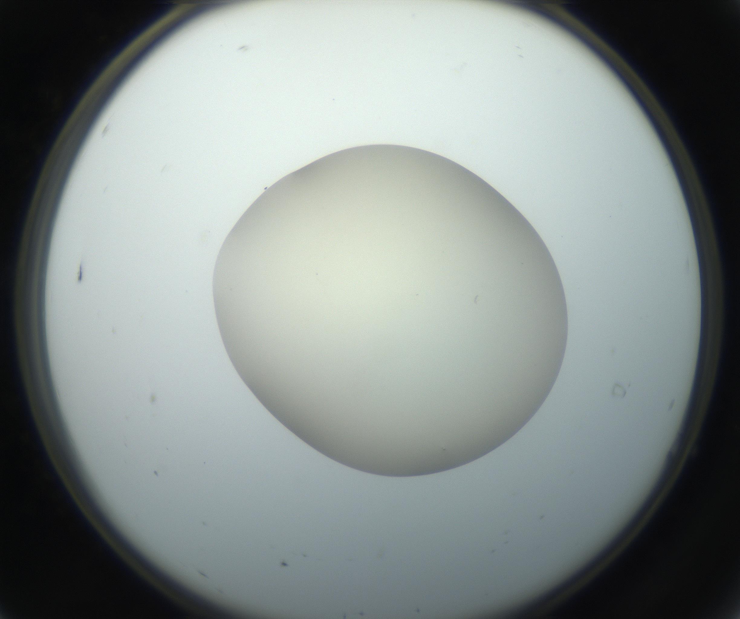 RI01_03_000_0212_Proj1_Clon1_MC_0000MC102735_003_160921_07_01_02_00_99_002_001_RAI.jpg
