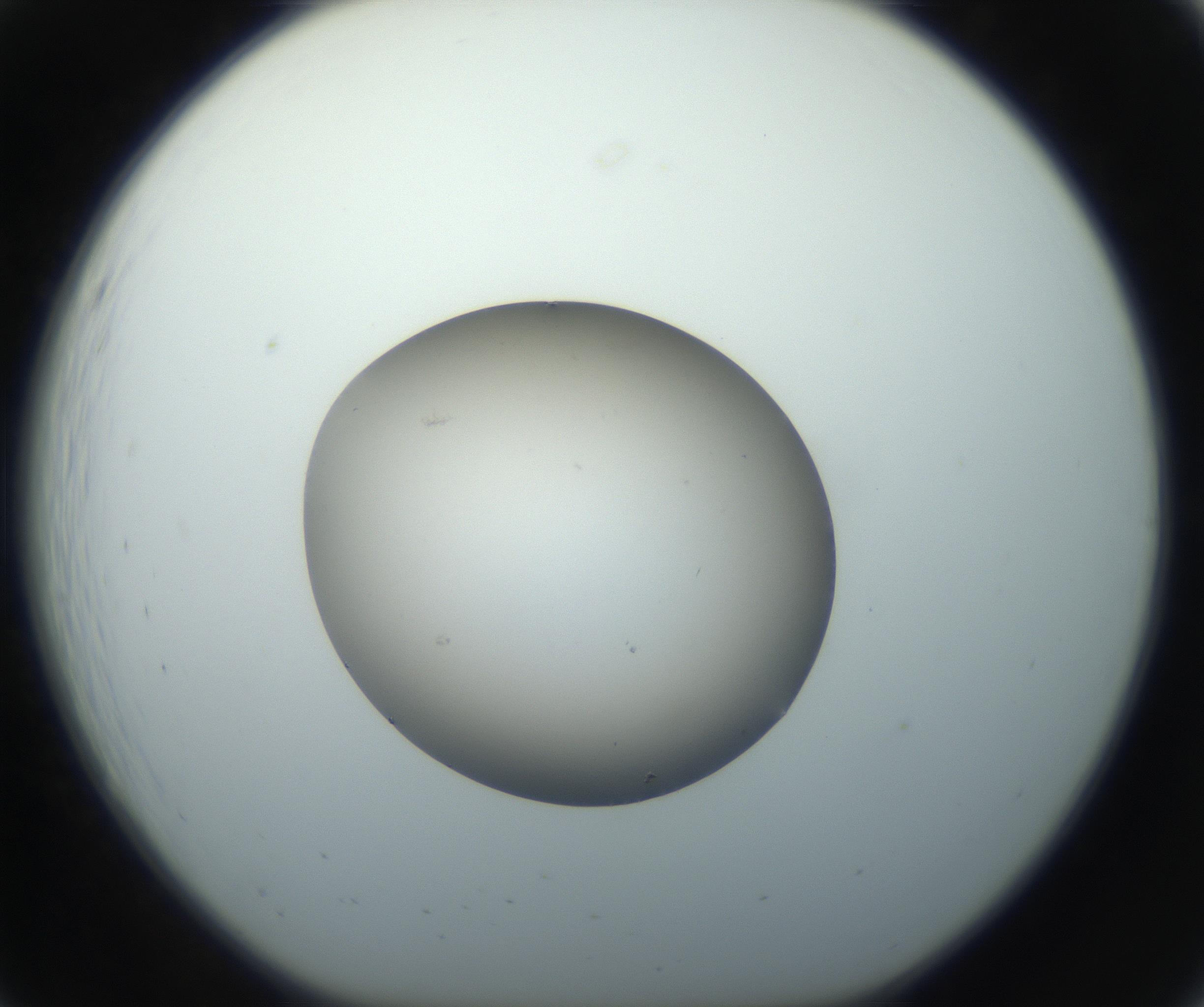 RI01_03_000_0212_Proj1_Clon1_MC_0000MC102735_003_160921_07_02_01_00_99_002_001_RAI.jpg