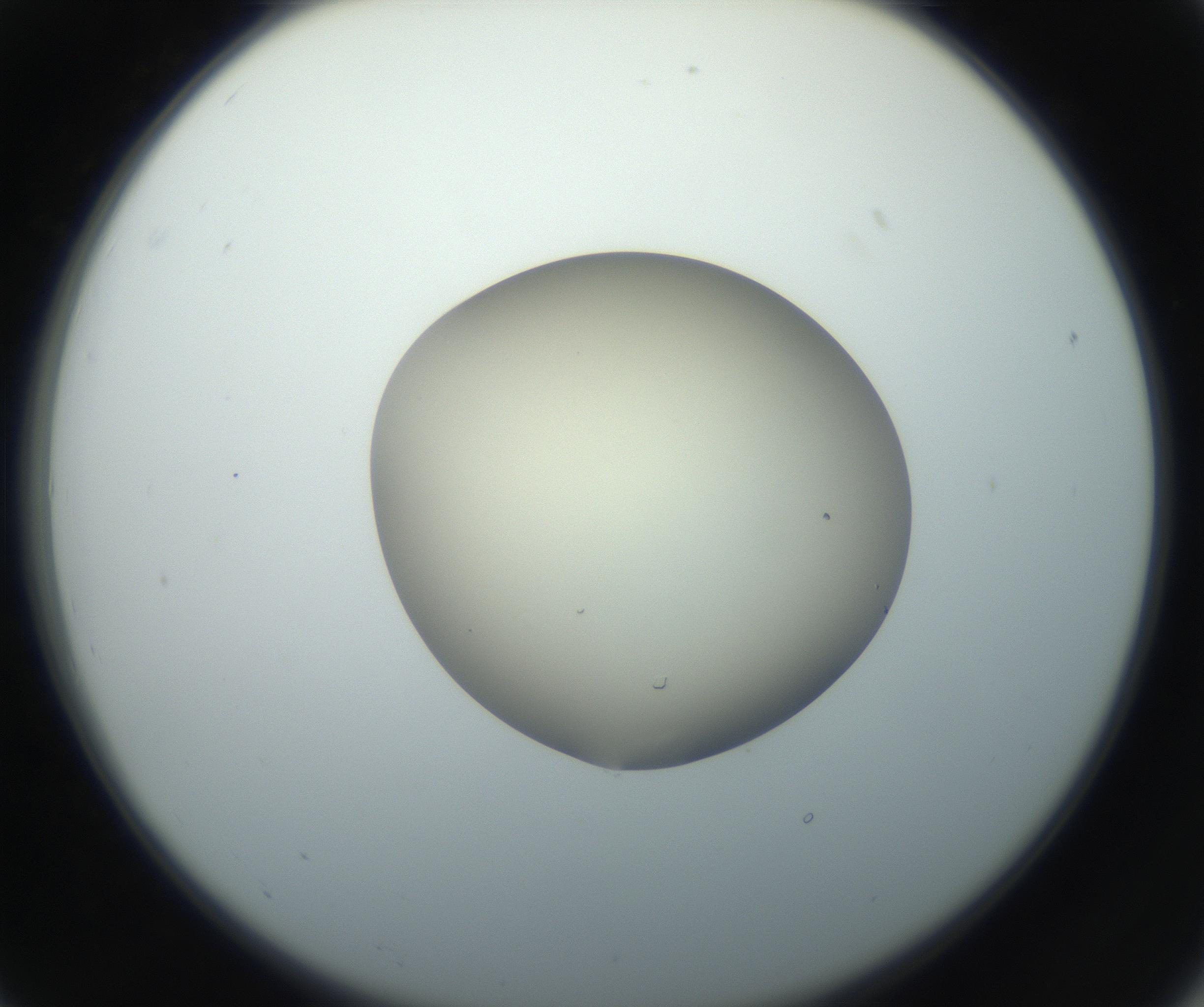 RI01_03_000_0212_Proj1_Clon1_MC_0000MC102735_003_160921_07_02_02_00_99_002_001_RAI.jpg