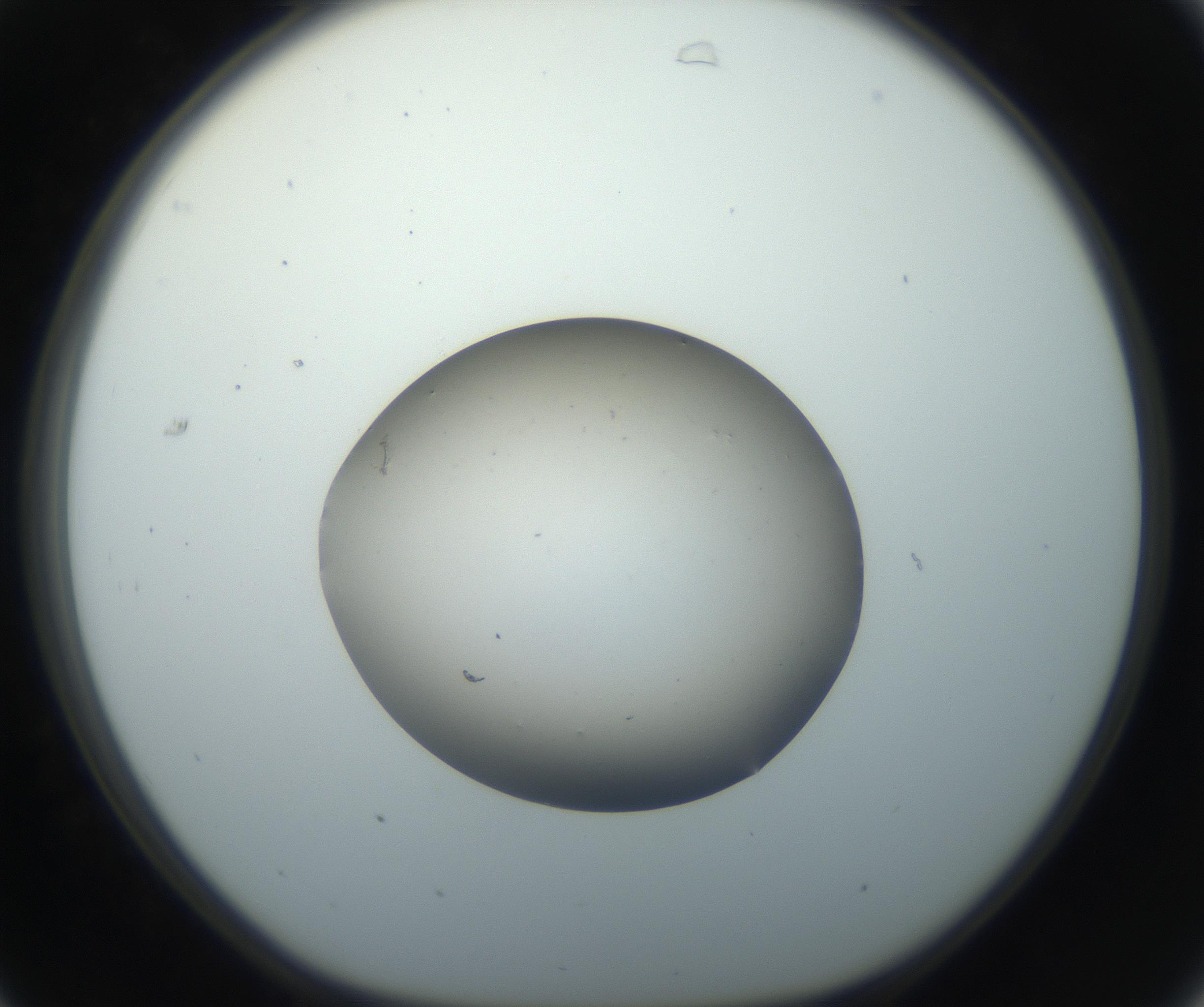 RI01_03_000_0212_Proj1_Clon1_MC_0000MC102735_003_160921_07_03_01_00_99_002_001_RAI.jpg