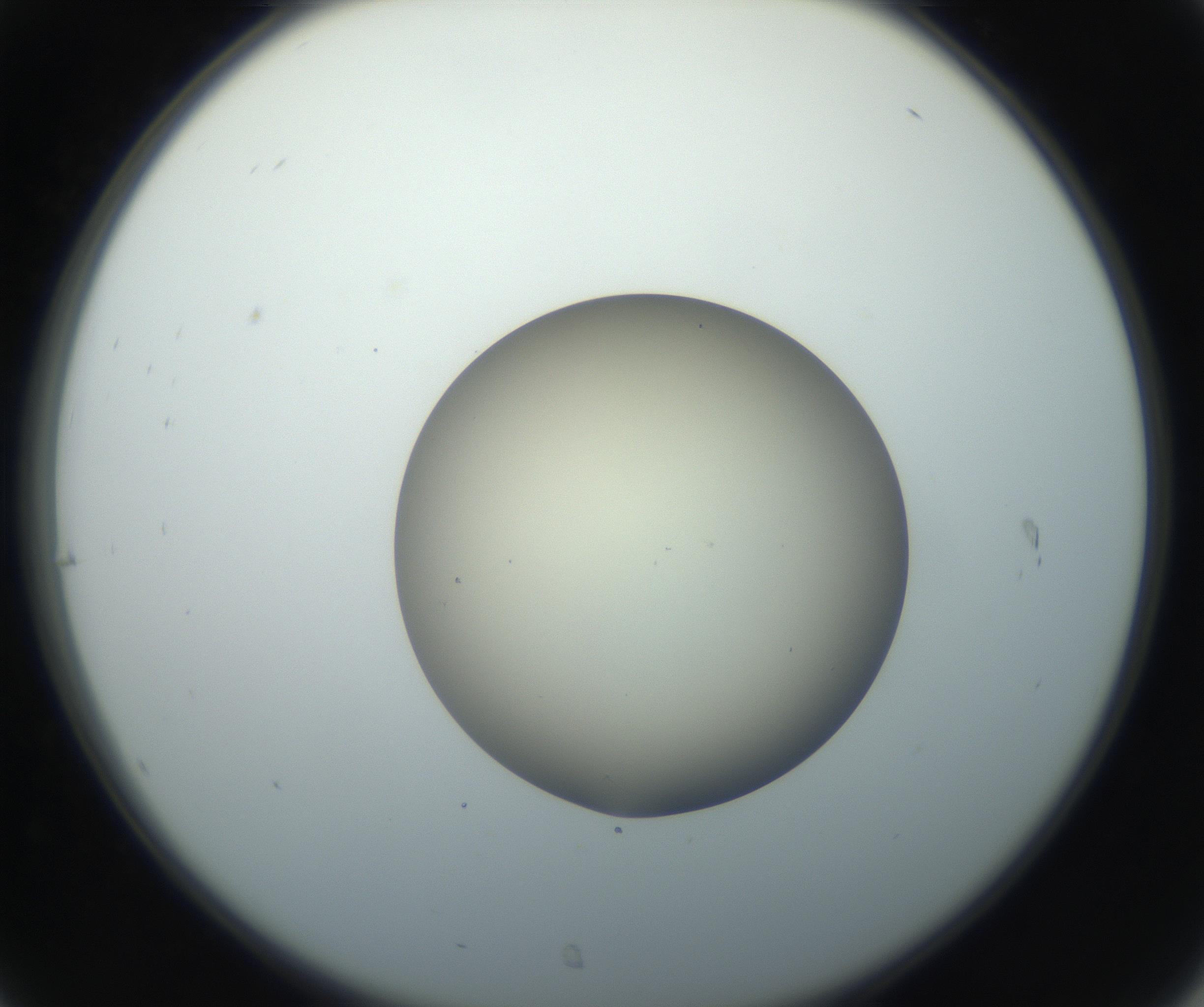 RI01_03_000_0212_Proj1_Clon1_MC_0000MC102735_003_160921_07_03_02_00_99_002_001_RAI.jpg