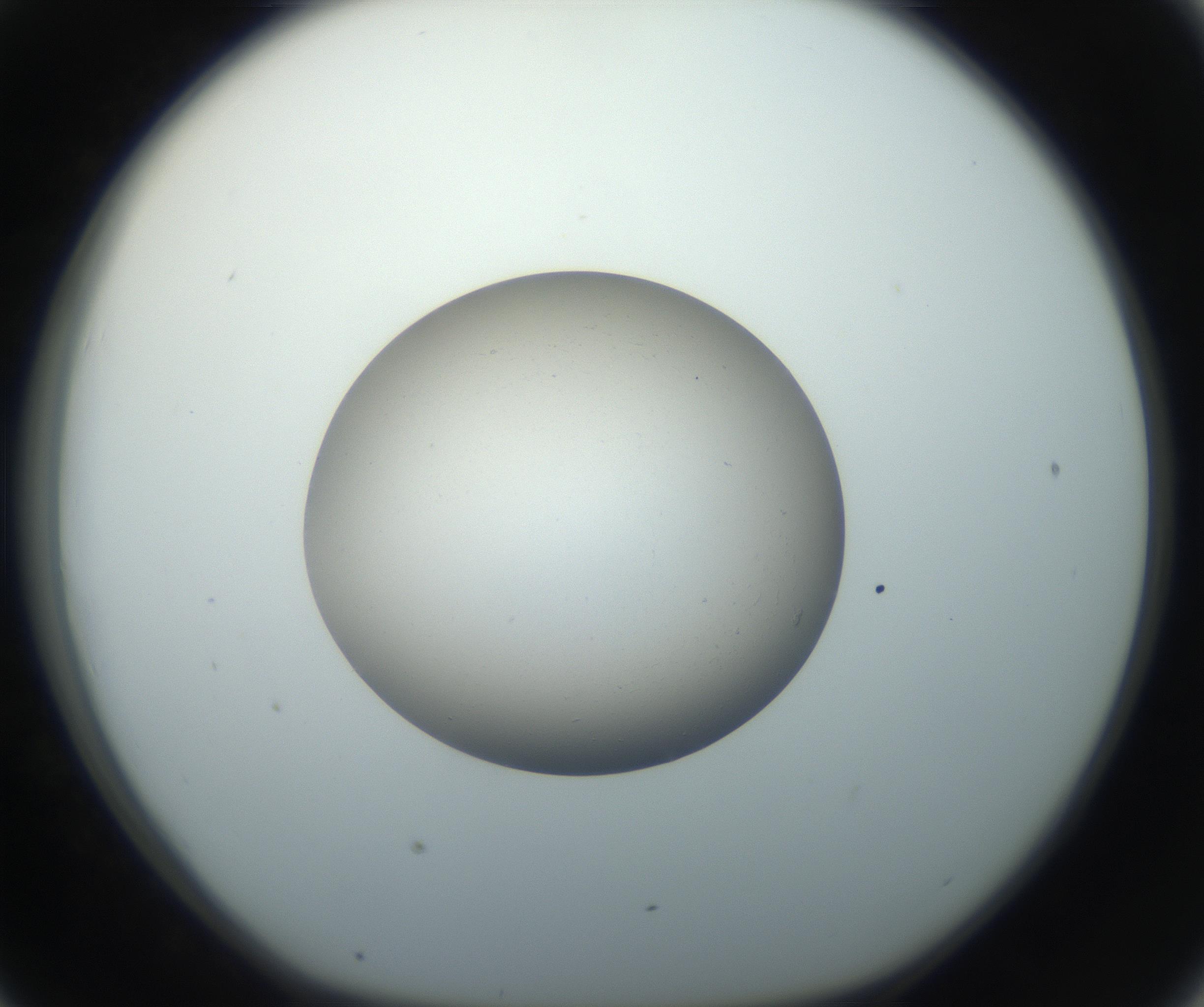 RI01_03_000_0212_Proj1_Clon1_MC_0000MC102735_003_160921_07_04_01_00_99_002_001_RAI.jpg