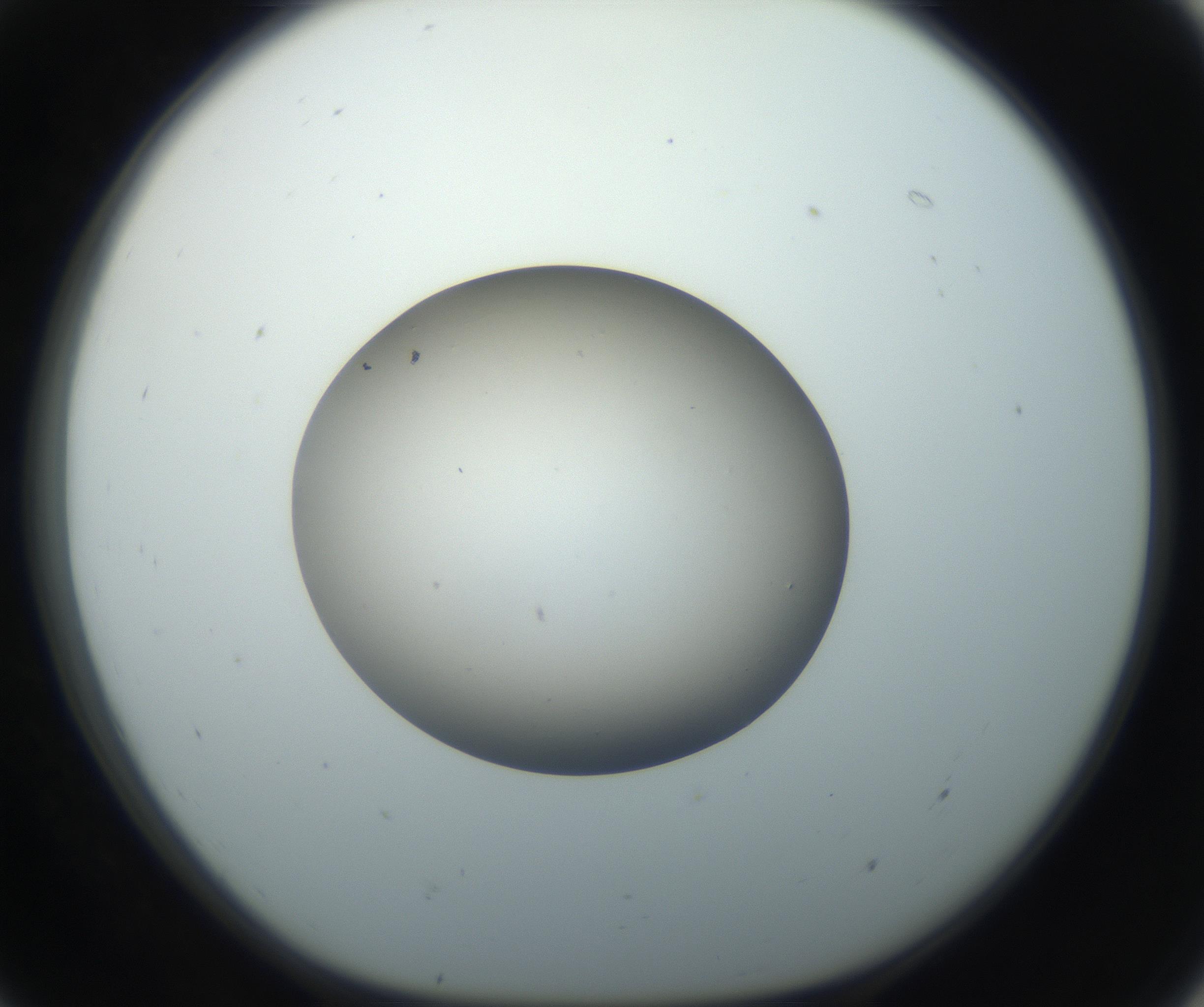 RI01_03_000_0212_Proj1_Clon1_MC_0000MC102735_003_160921_07_05_01_00_99_002_001_RAI.jpg
